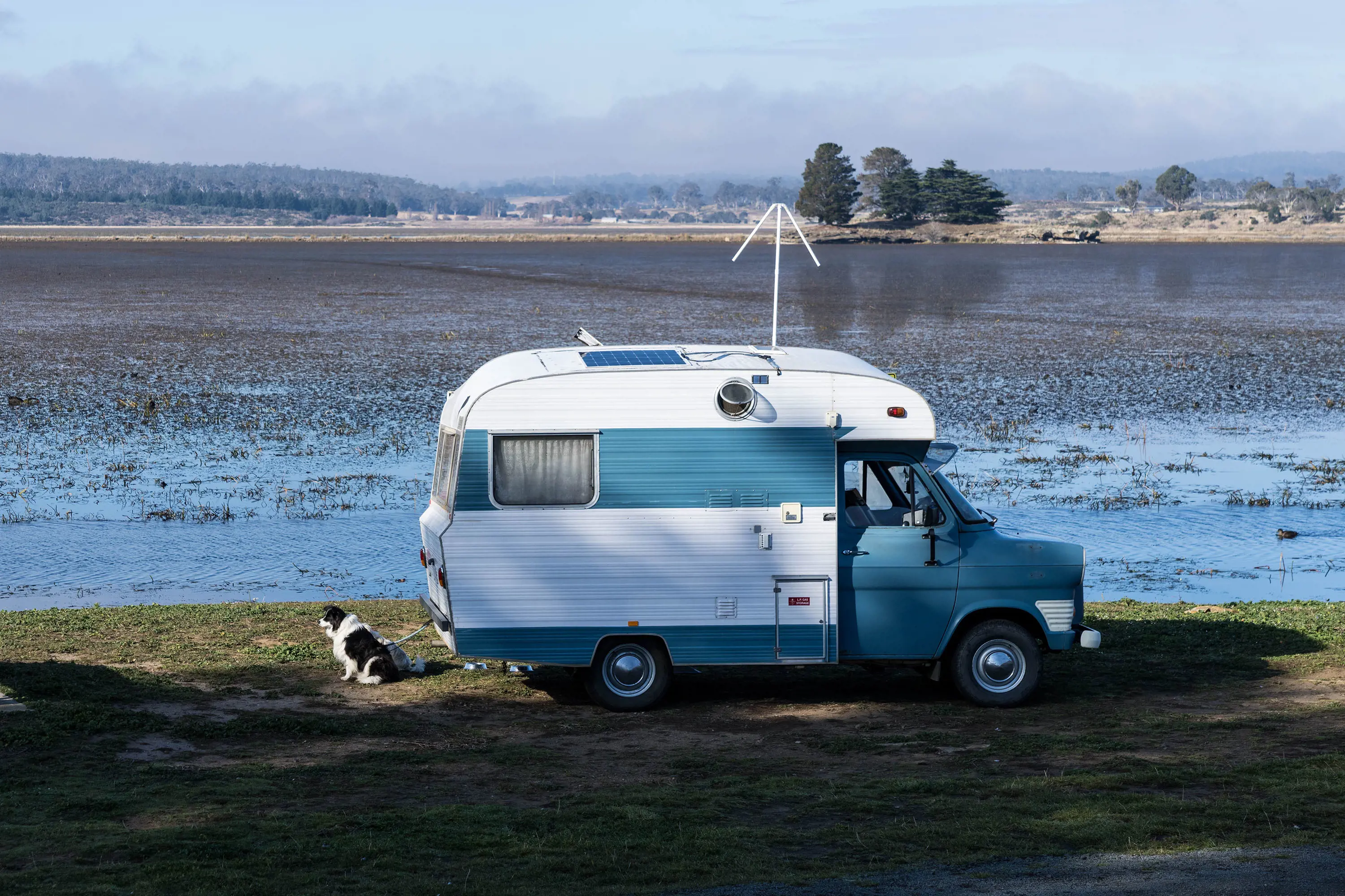 On the banks of a marshy lake, a dog sits next to a blue and white retro campervan.