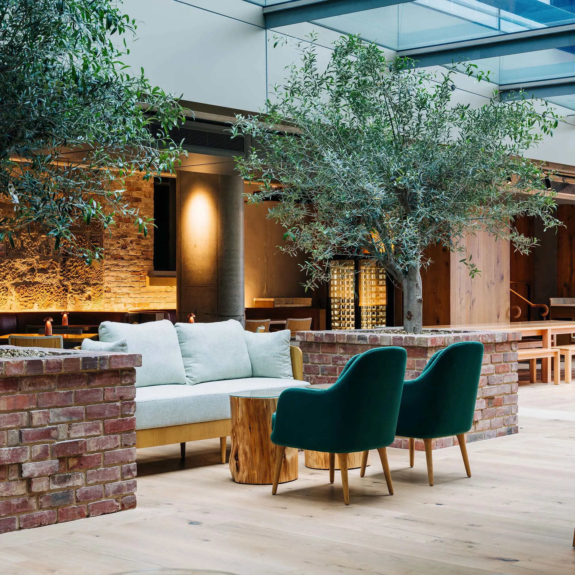 An artfully decorated restaurant, with small trees in bricked up pots, lush green velvet chairs and a comfy couch. A glass ceiling lights the whole room.