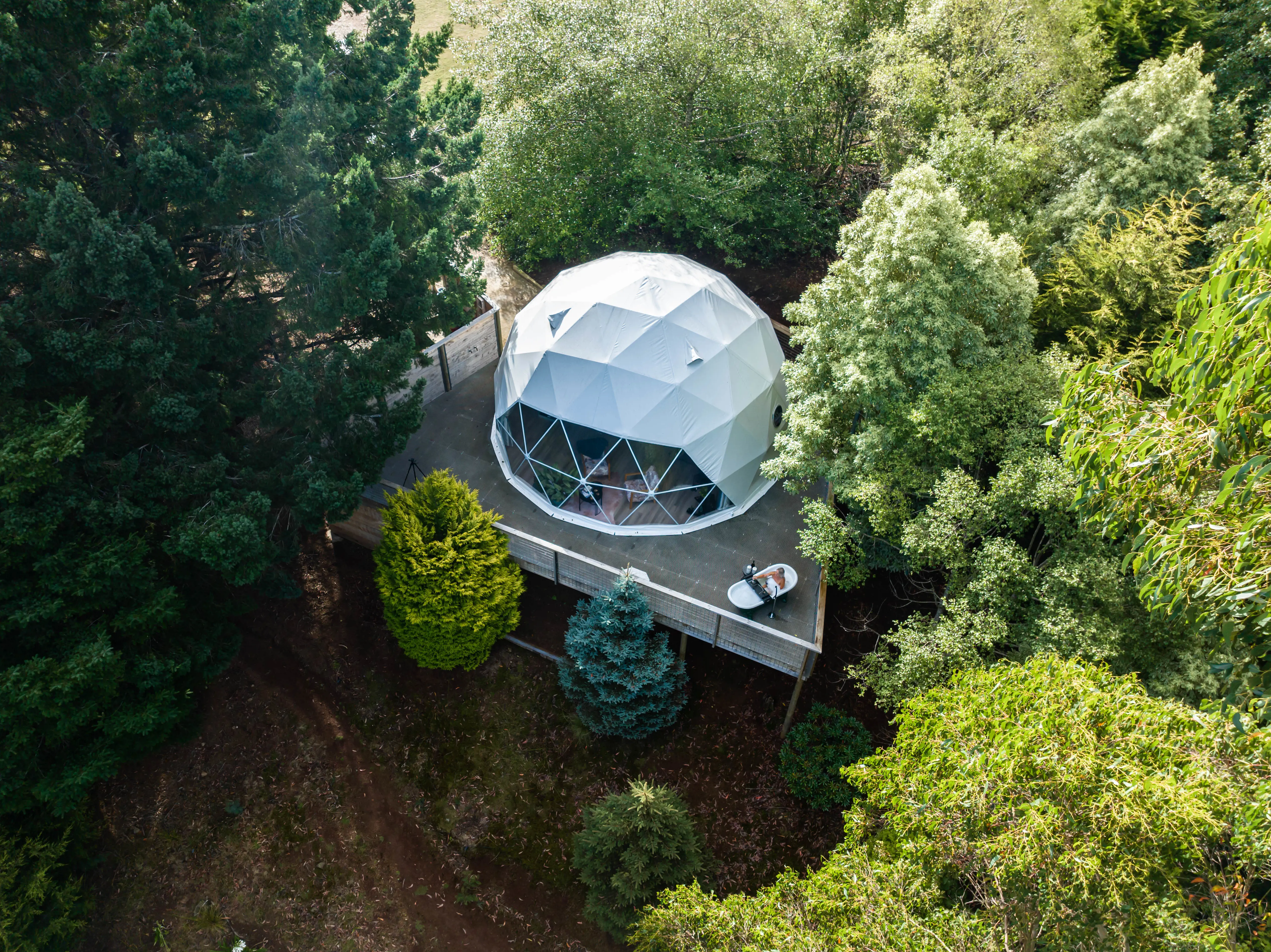 A dome structure sits on top of a wooden deck nestled amongst the bush.