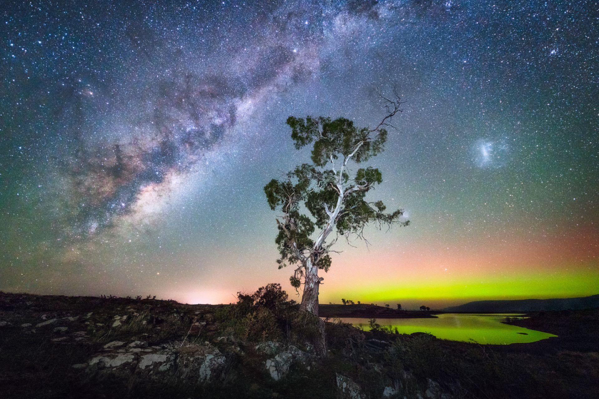 Glow-in-the-dark Tasmania