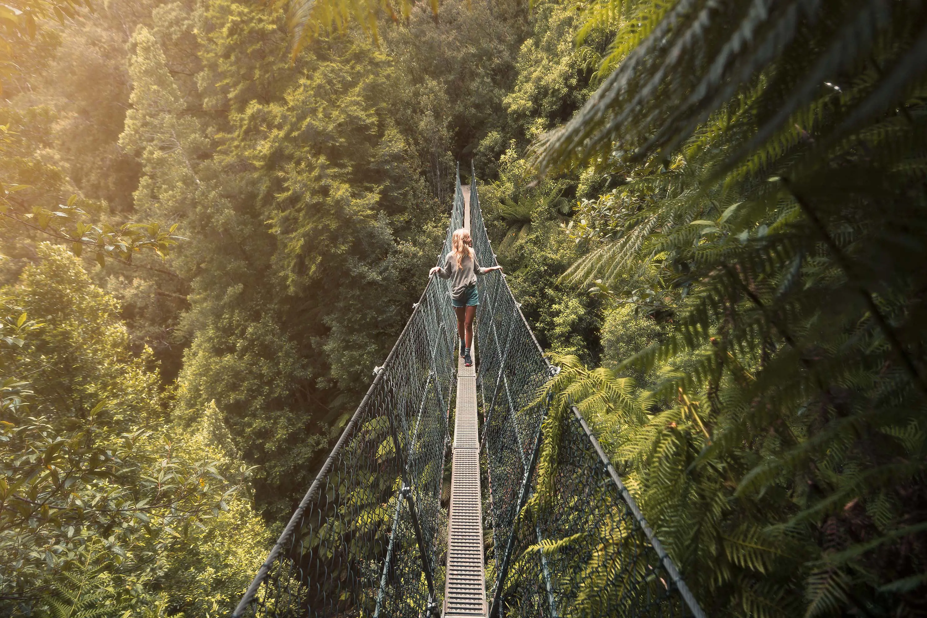 A person walking on the very narrow Montezuma Falls suspension bridge, surrounded by lush forest.