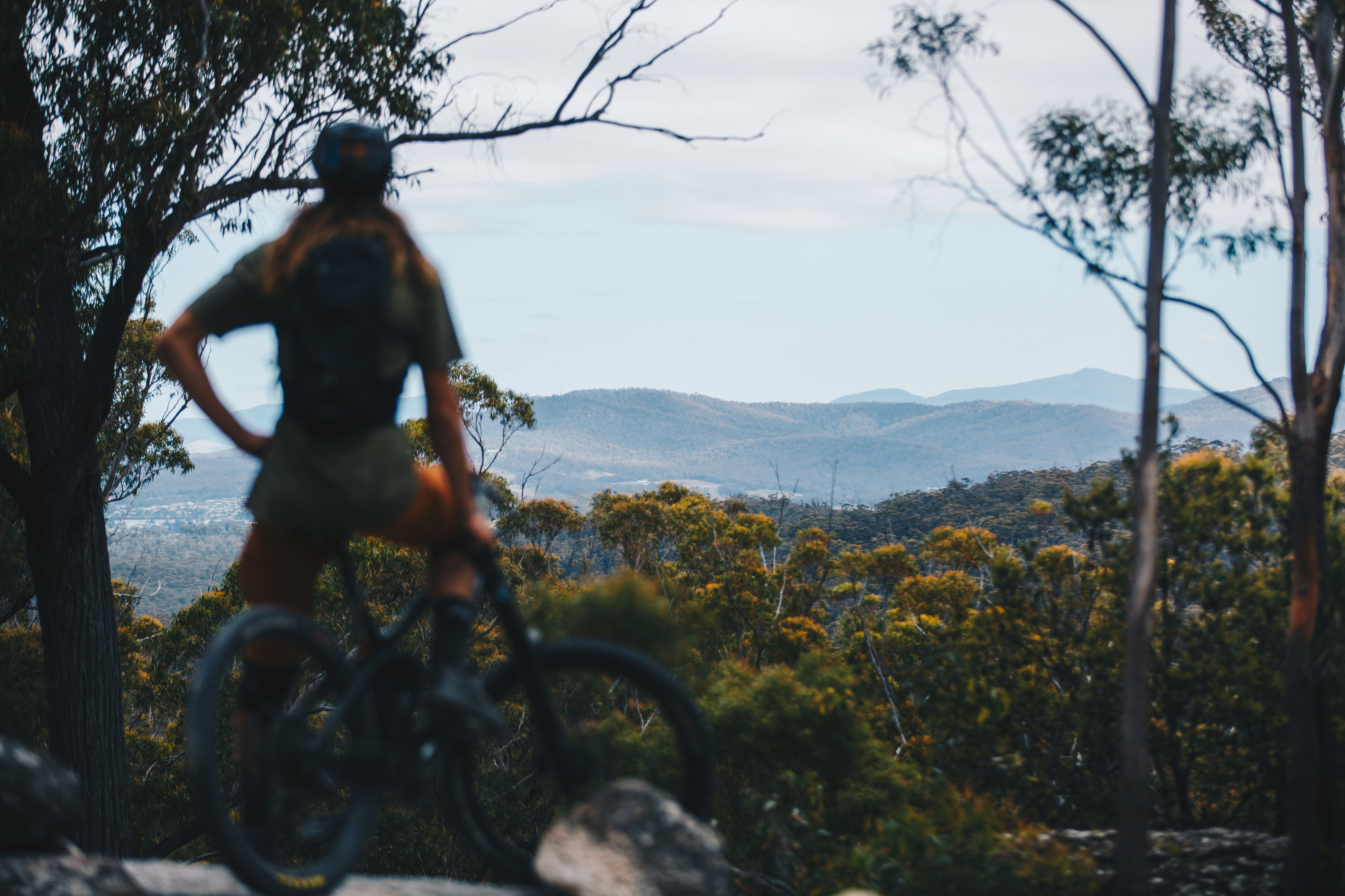 Mountain biking tracks near 2025 me