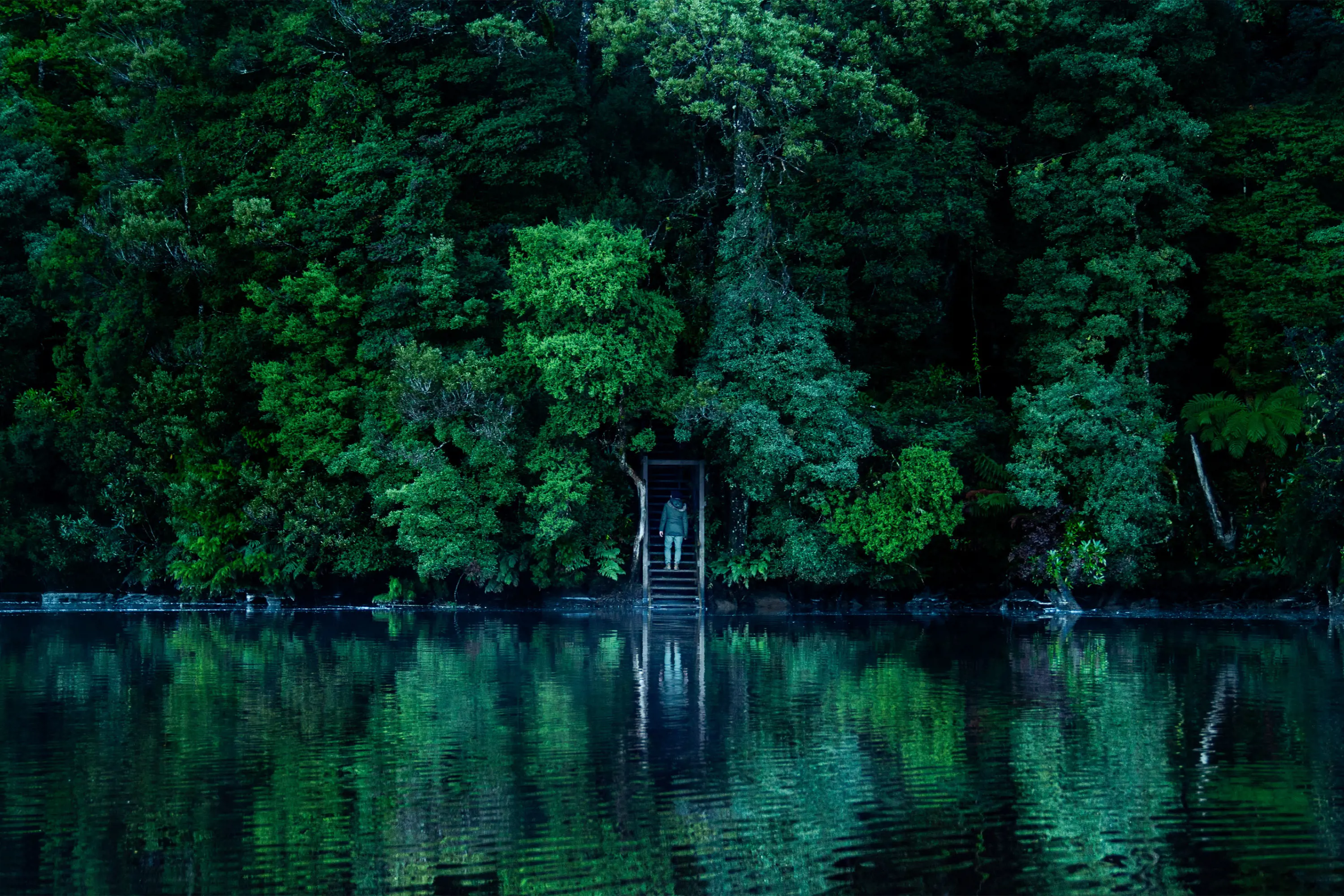 Across a river, a person climbs some stairs up out of the water. The steps disappear into the thick, dark forest on the riverbank. 