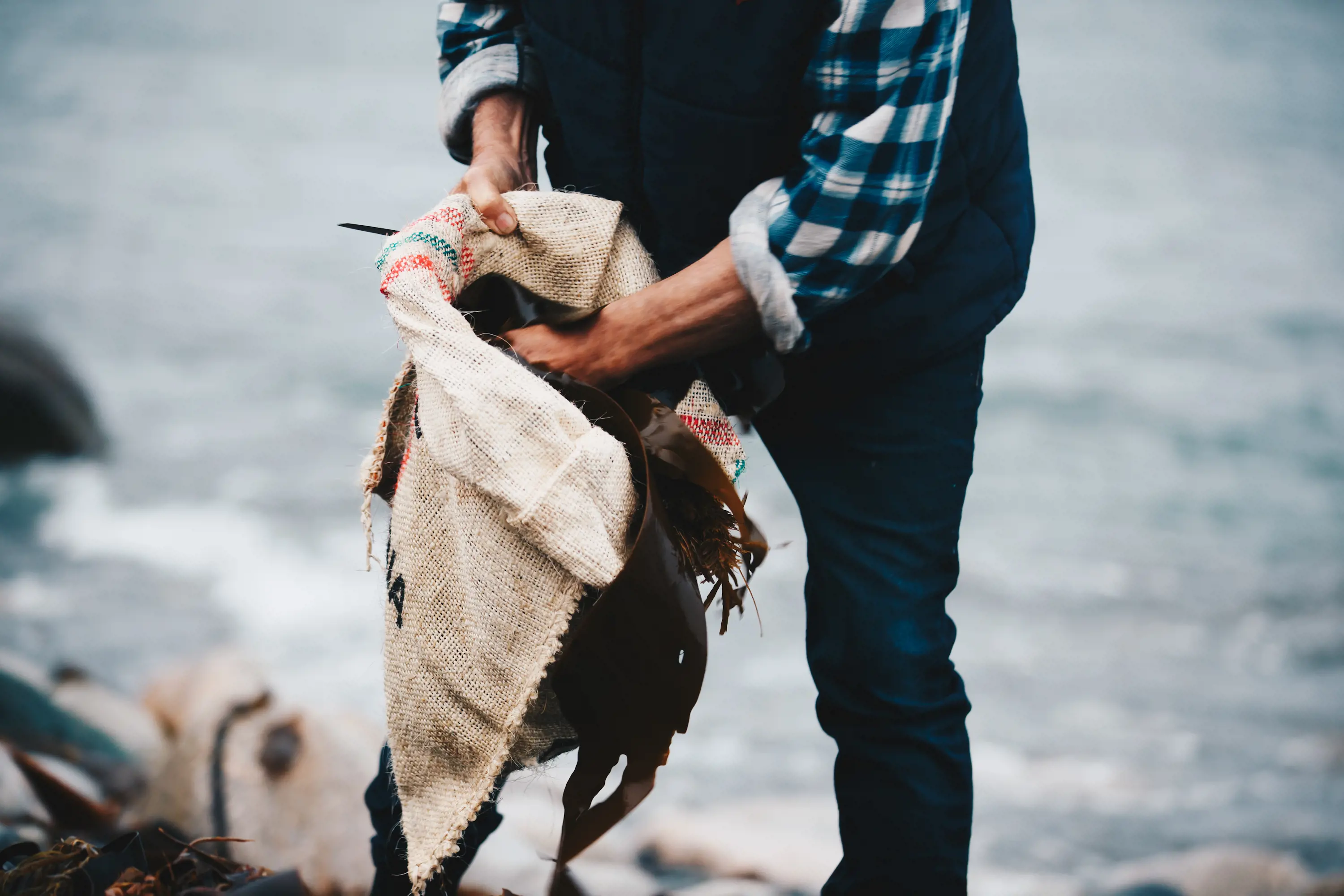 A man wearing a flannel shirt and puffer vest stands by the water and stuffs a handful of seaweed into a hessian sack.