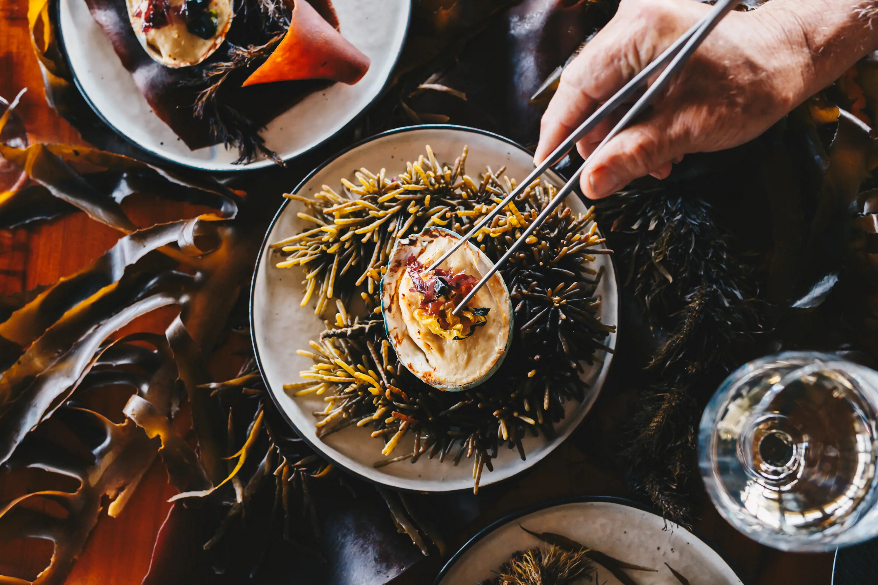 A birds-eye view of plates of seafood, surrounded by kelp. A hand holding cooking tweezers reaches onto the central plate.