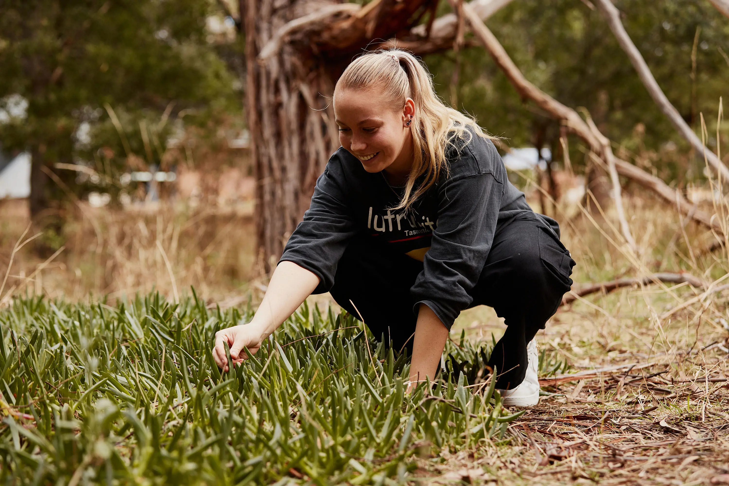 A woman kneels down and reaches to pull a plant from a cluster growing together on the ground in the bush.