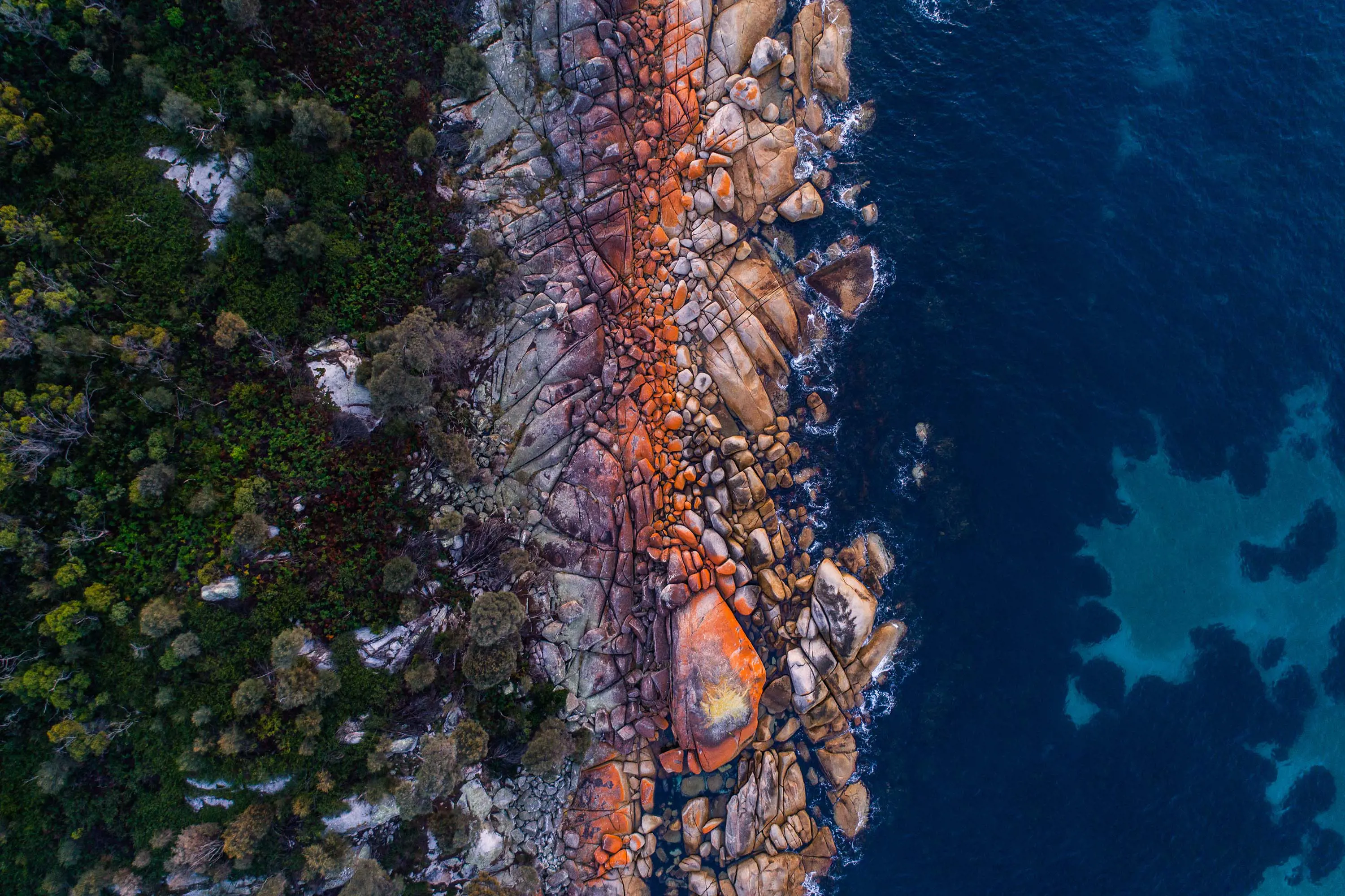 A birds-eye photo, naturally divided - on the left is dense bush, on the right is deep blue ocean, and between the two is a strip of rocks naturally coloured vivid orange, brown and purple.