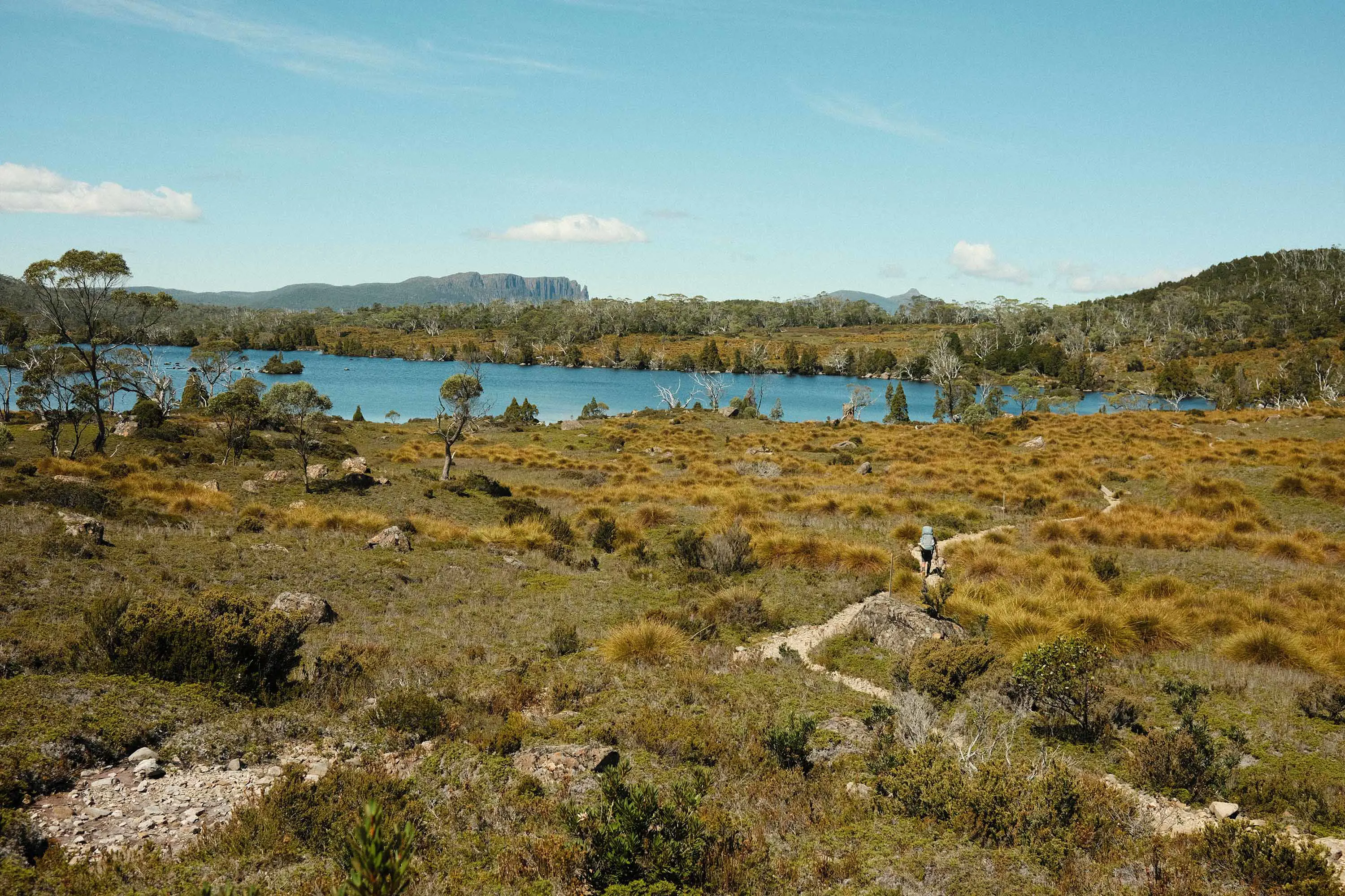 A landscape of sparse scrubby bush surrounding a light blue lake. A person hikes on the thin sandy trail snaking through.