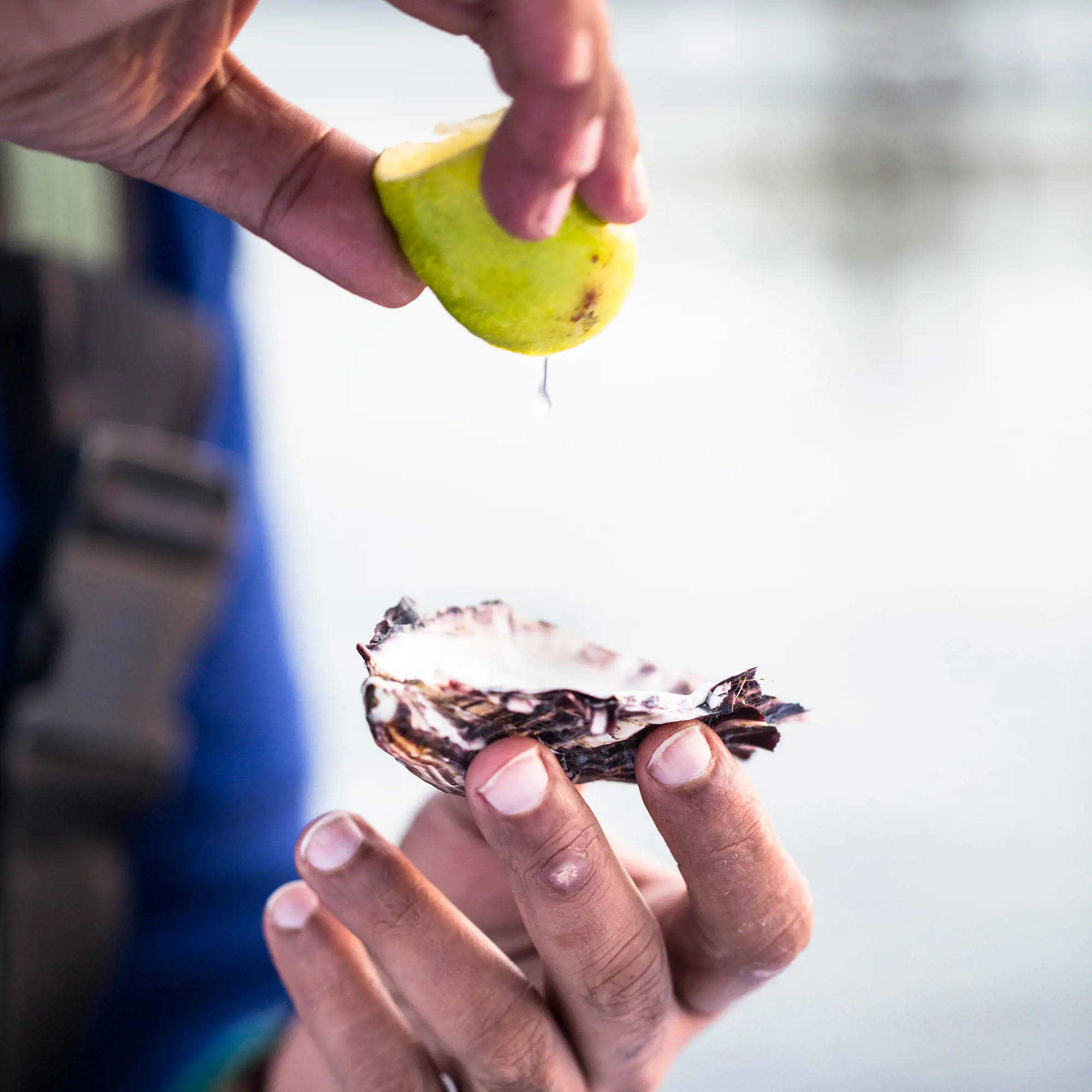 A person squeezes juice from half a lime onto an open oyster.