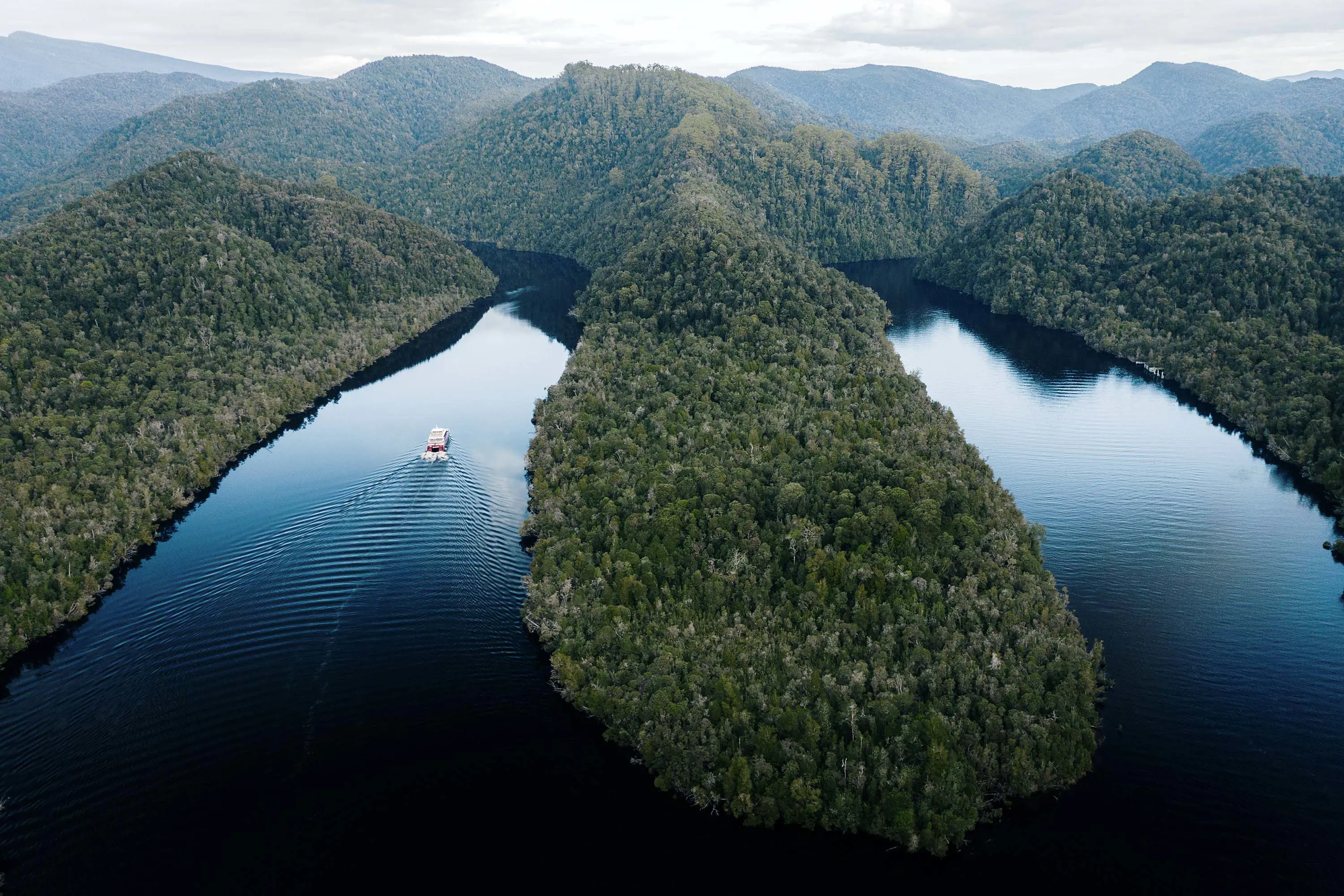 A large commercial tour boat travels along the bend in a wide river through glassy still waters surrounded by dense rainforest.