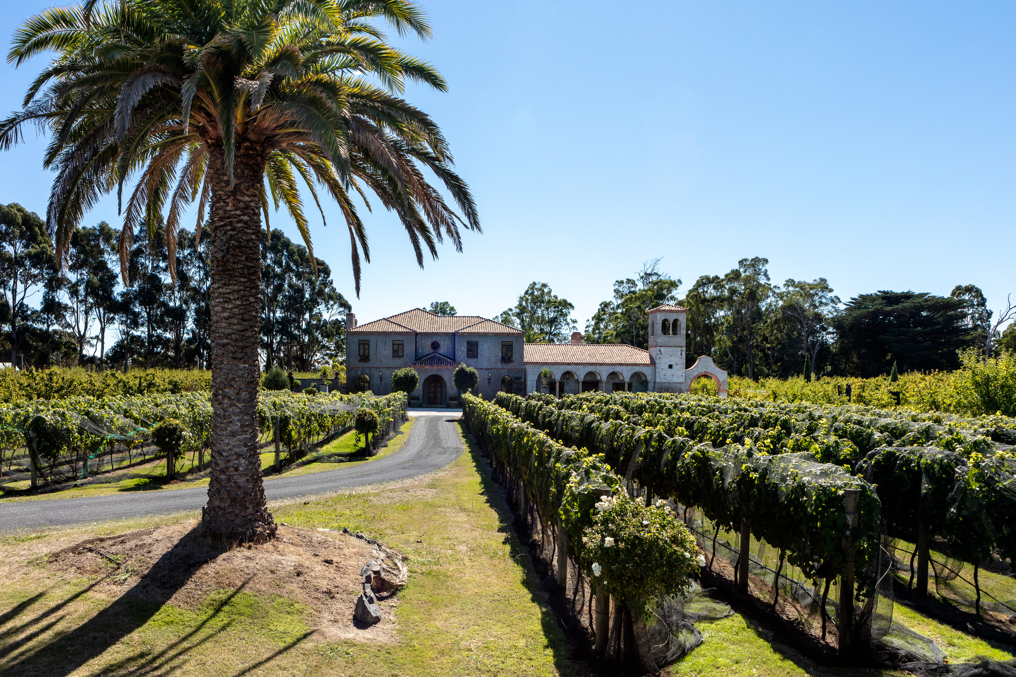 Wine Trails And Winemakers - Discover Tasmania