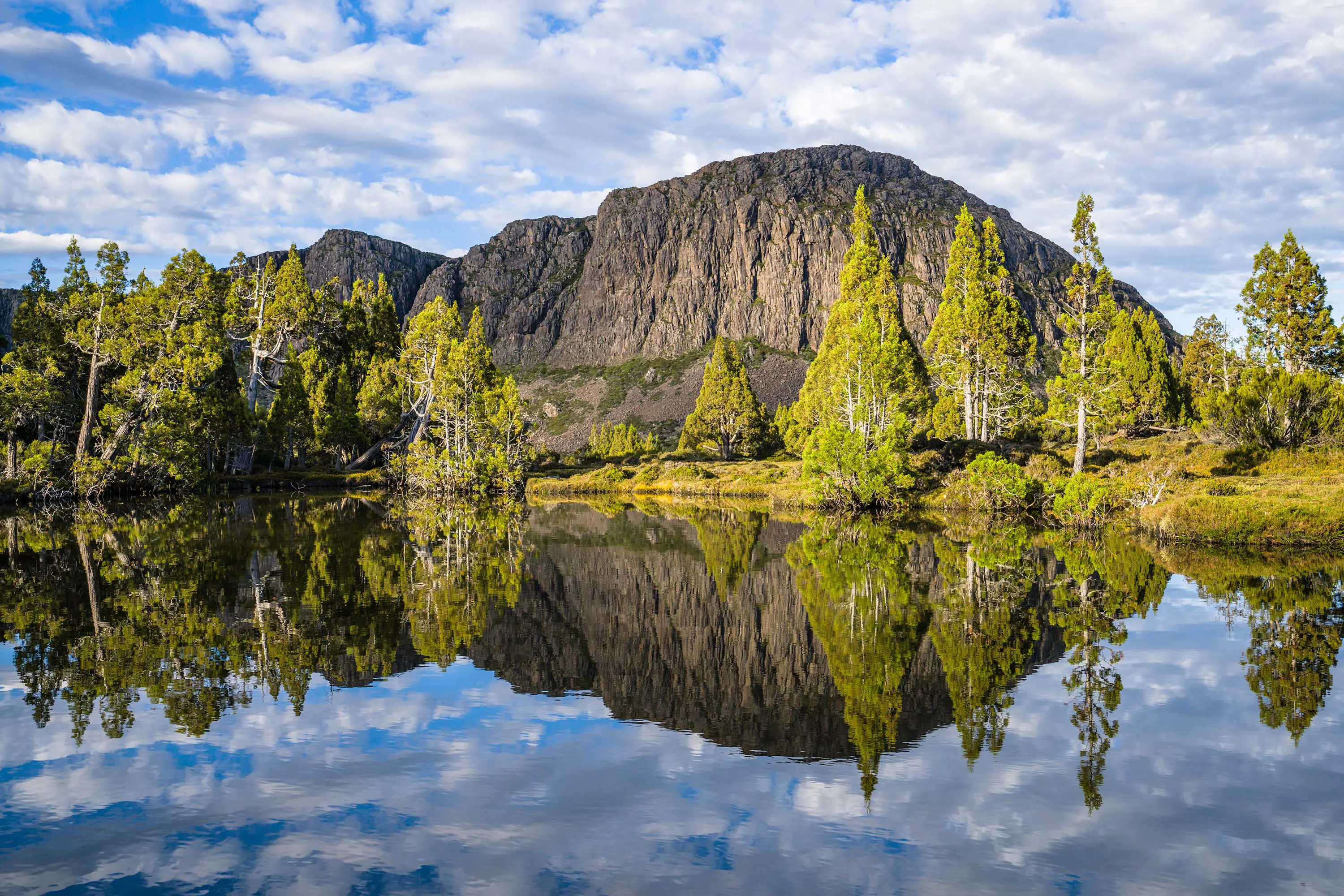 A tall mountain reflects clearly in a calm lake, surrounded by lush green trees under fluffy white clouds.