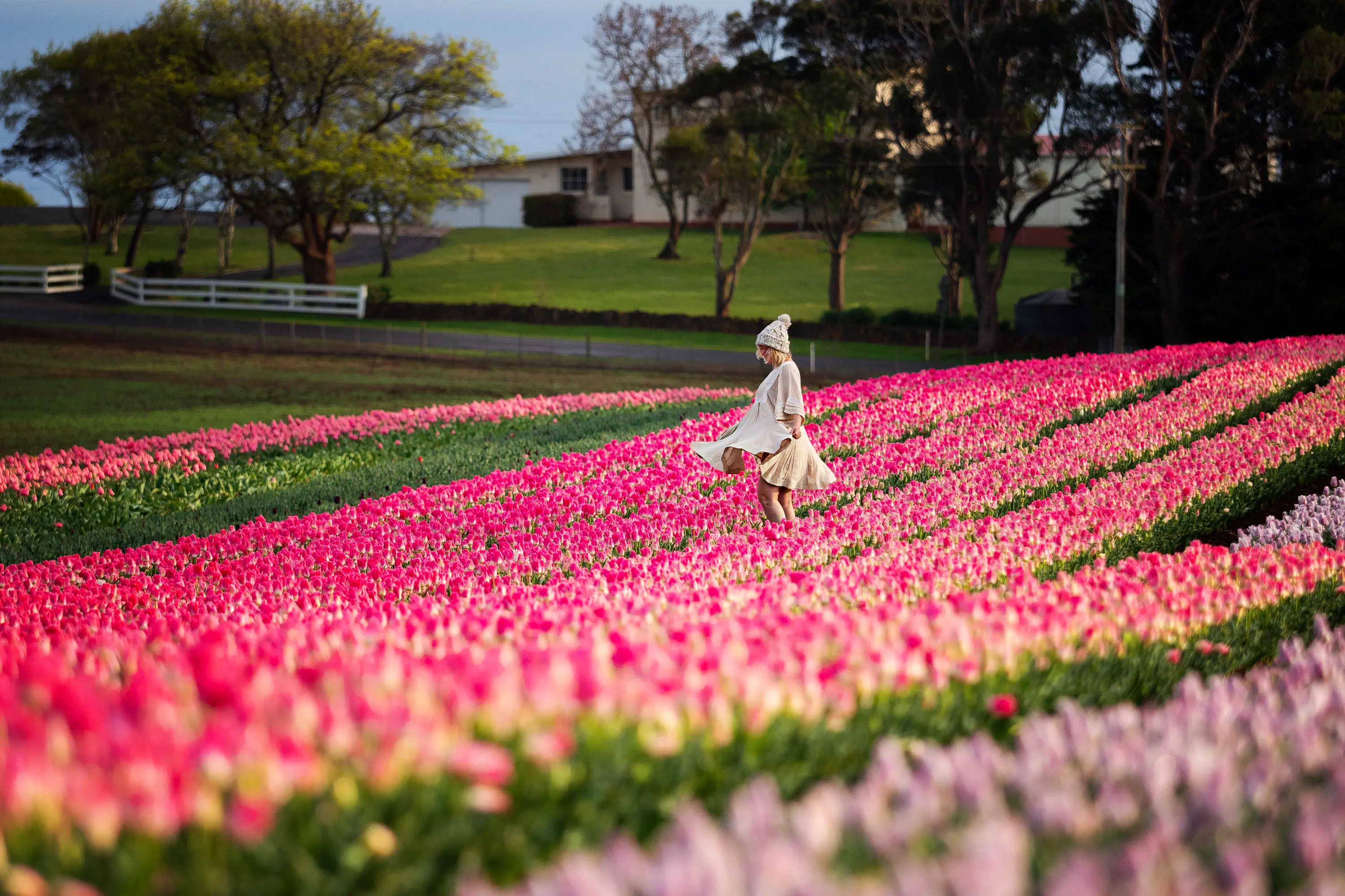 A woman wearing a beanie and coat twirls amid a field of rows of bright pink tulips in bloom.