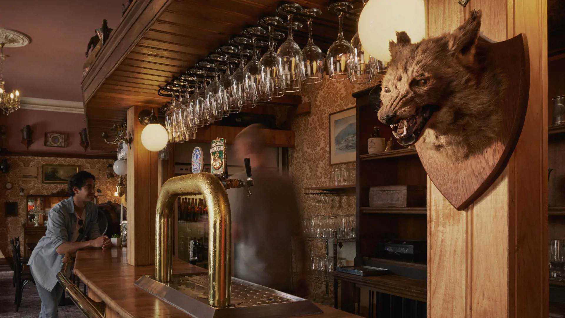 The wooden bar of a pub, with glasses hanging overhead, a few beer taps and a stuffed animal head trophy hanging on a post.