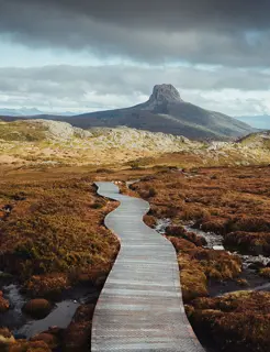 Landscape of the Overland Track, with Barn Bluff in the backdrop. The leaves are orange Autumn coloured and a wooden duckboard snakes its way along the ground.