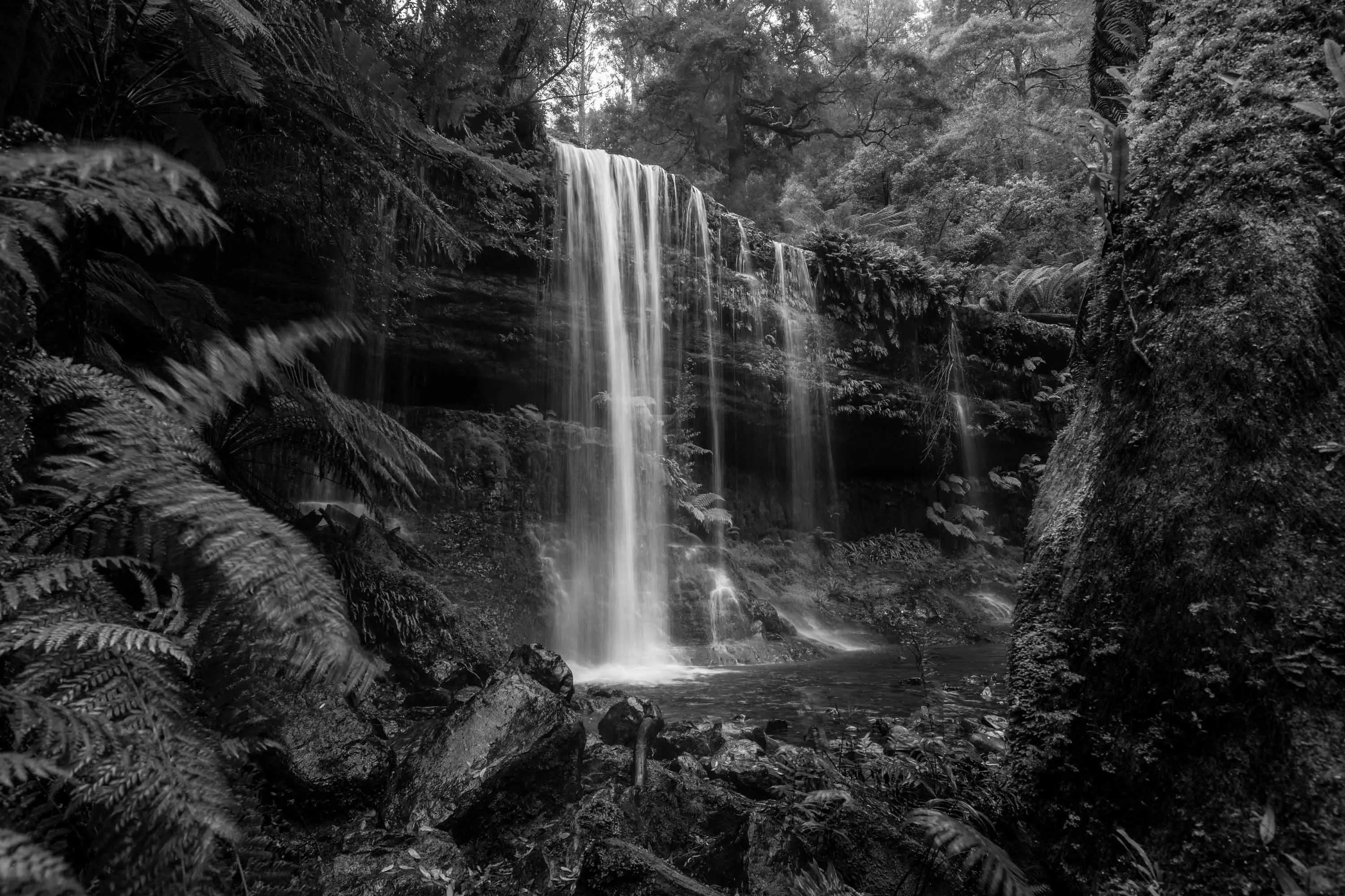 A waterfall tumbles over a  long, flat platform of rock covered in moss and ferns within in a dense forest.