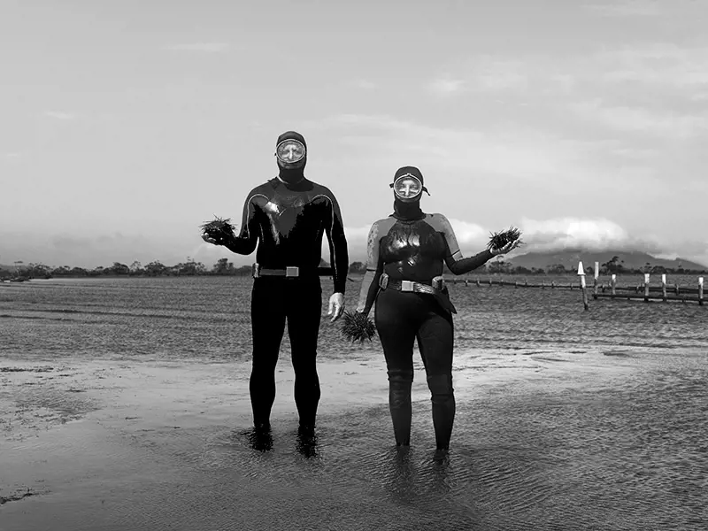 Two people in full scuba diving gear stand in ankle-deep ocean water, holding handfuls of spiky sea urchins.