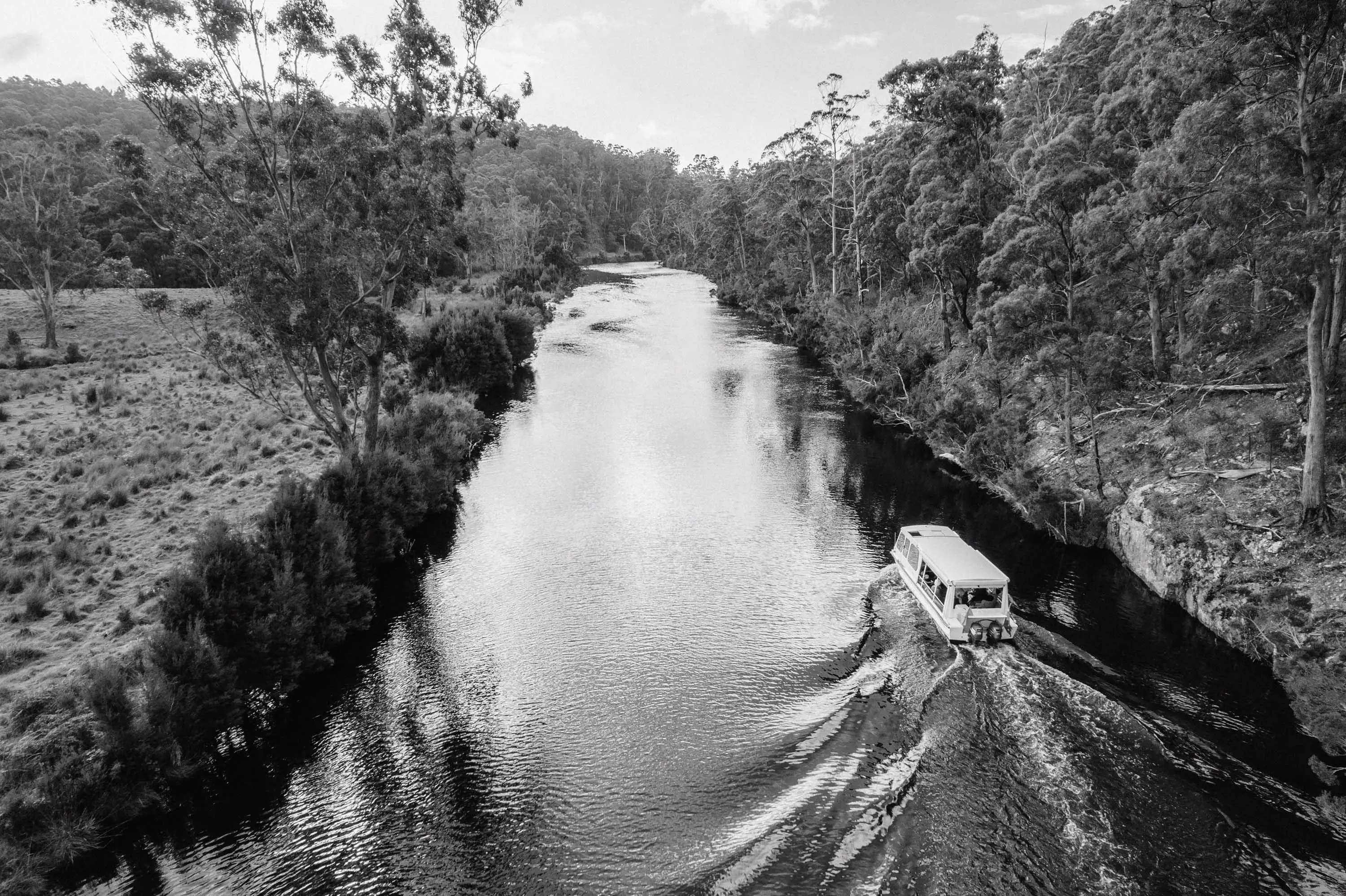 A boat with a viewing canopy travels along a narrow river through thick forest.