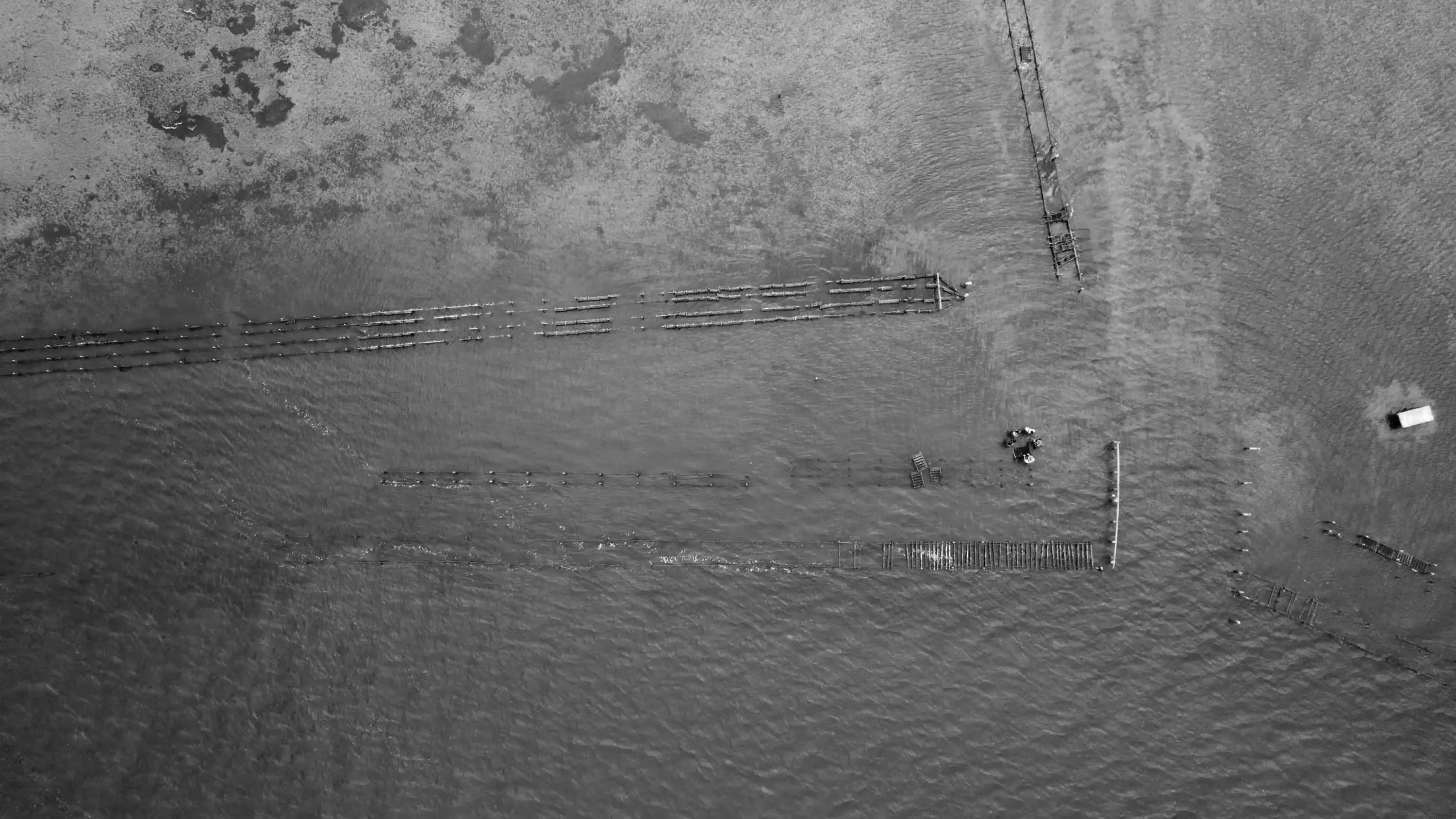 An aerial photograph of shallow waters with rows of oysters. 