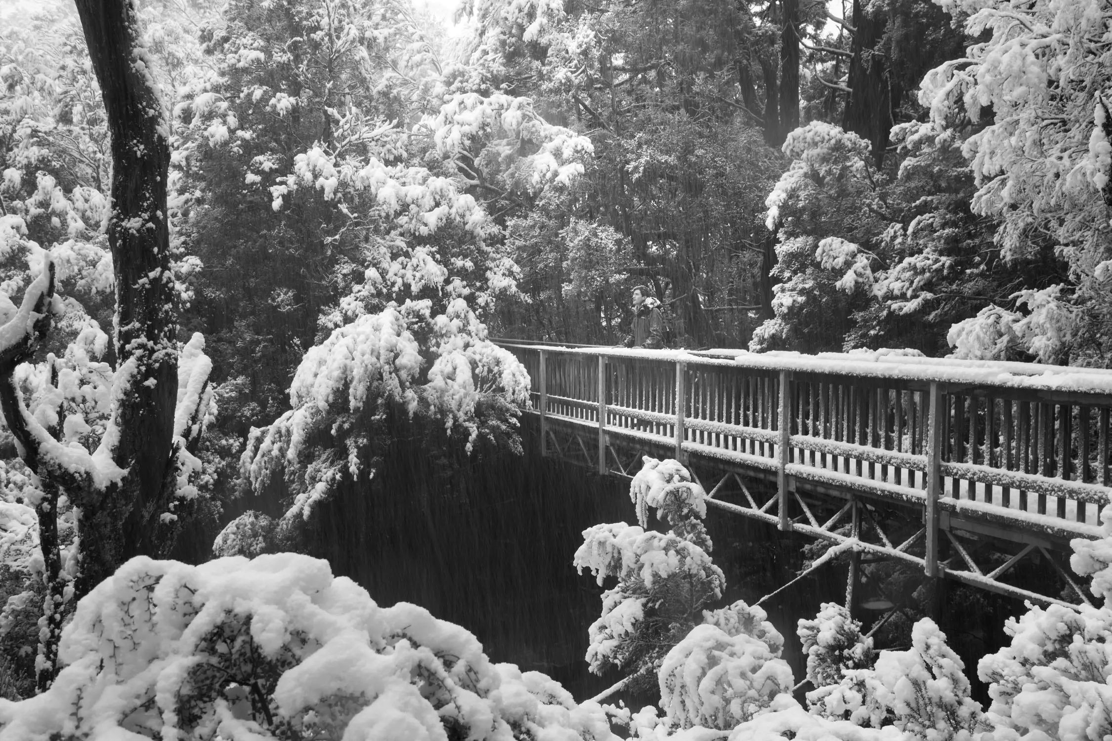 A picturesque snow-covered forest with a wooden bridge stretching across a deep gorge. The trees are blanketed in heavy snow, creating a magical and serene winter setting