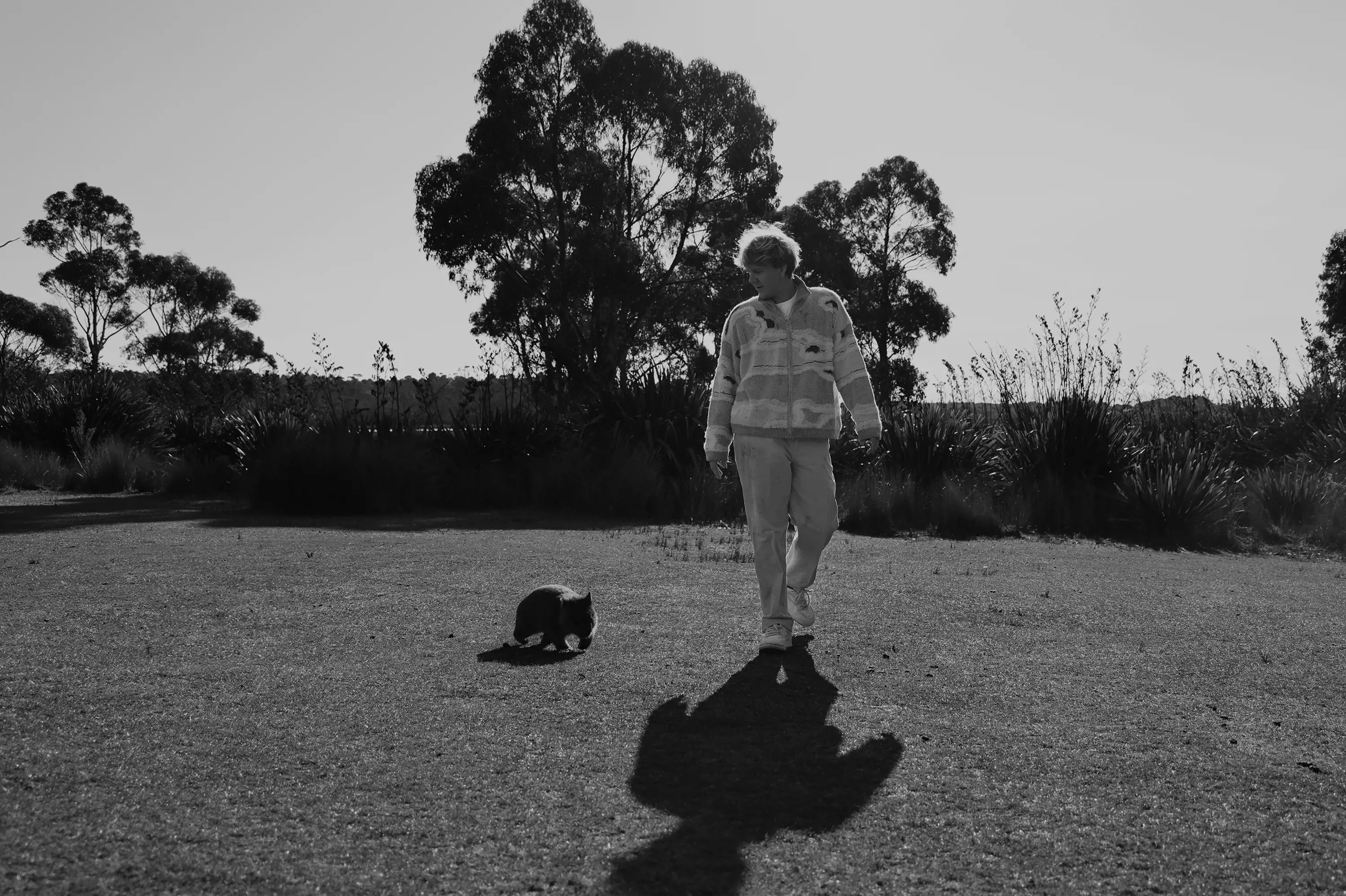 A man wearing a sweater and pants walks along short grass with a small, grey wombat following.