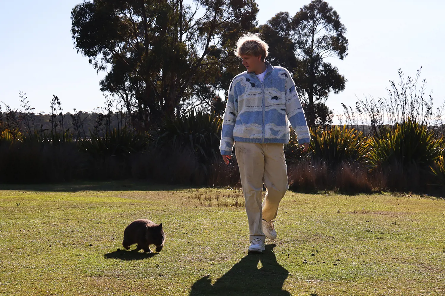 A man wearing a sweater and pants walks along short grass with a small, grey wombat following.