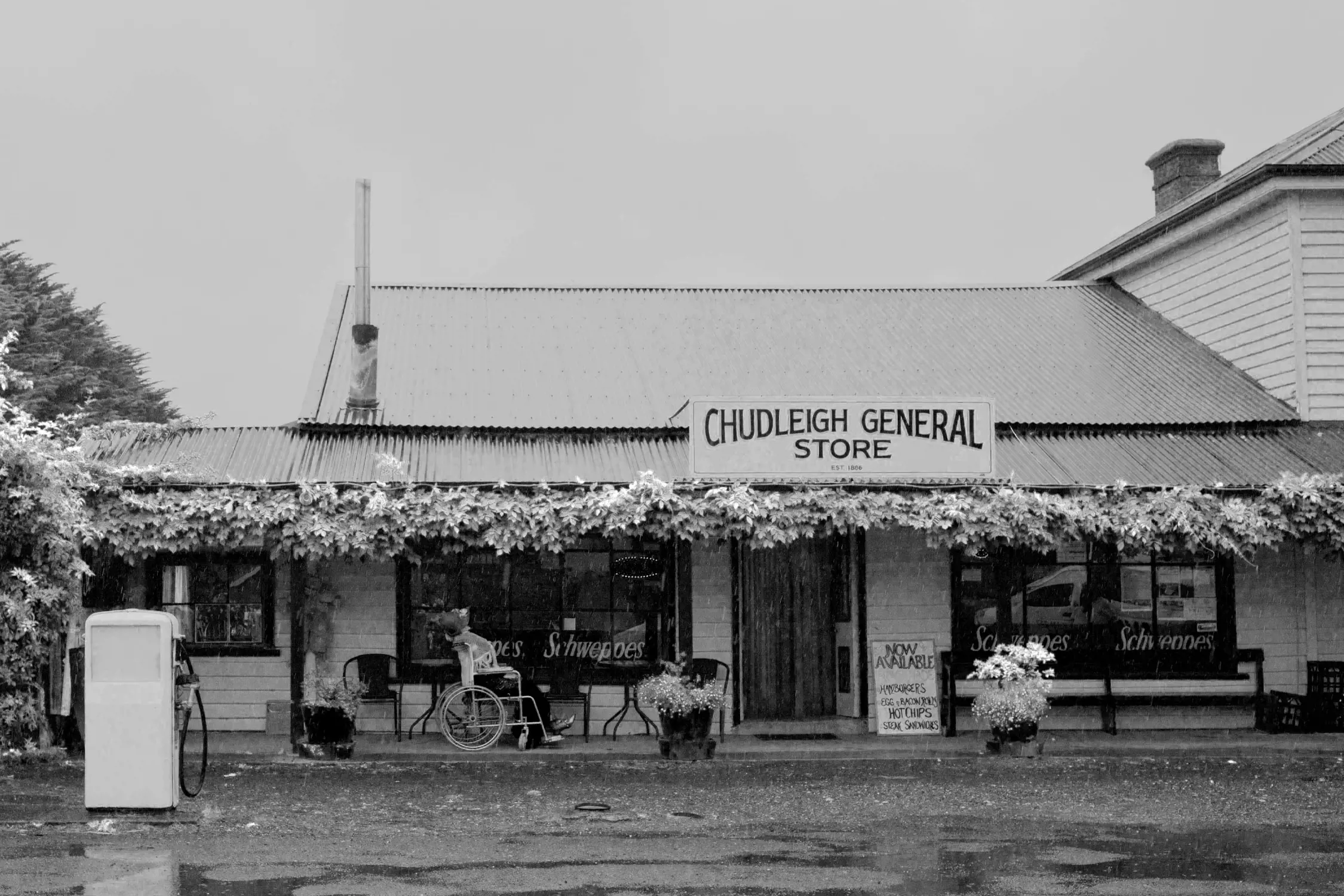 A quaint rural general store with a rustic facade, covered in lush greenery and vines. Two old-style fuel pumps stand in front, and a wheelchair and small seating area add to its charm. The setting is calm with light rain reflecting off the ground.