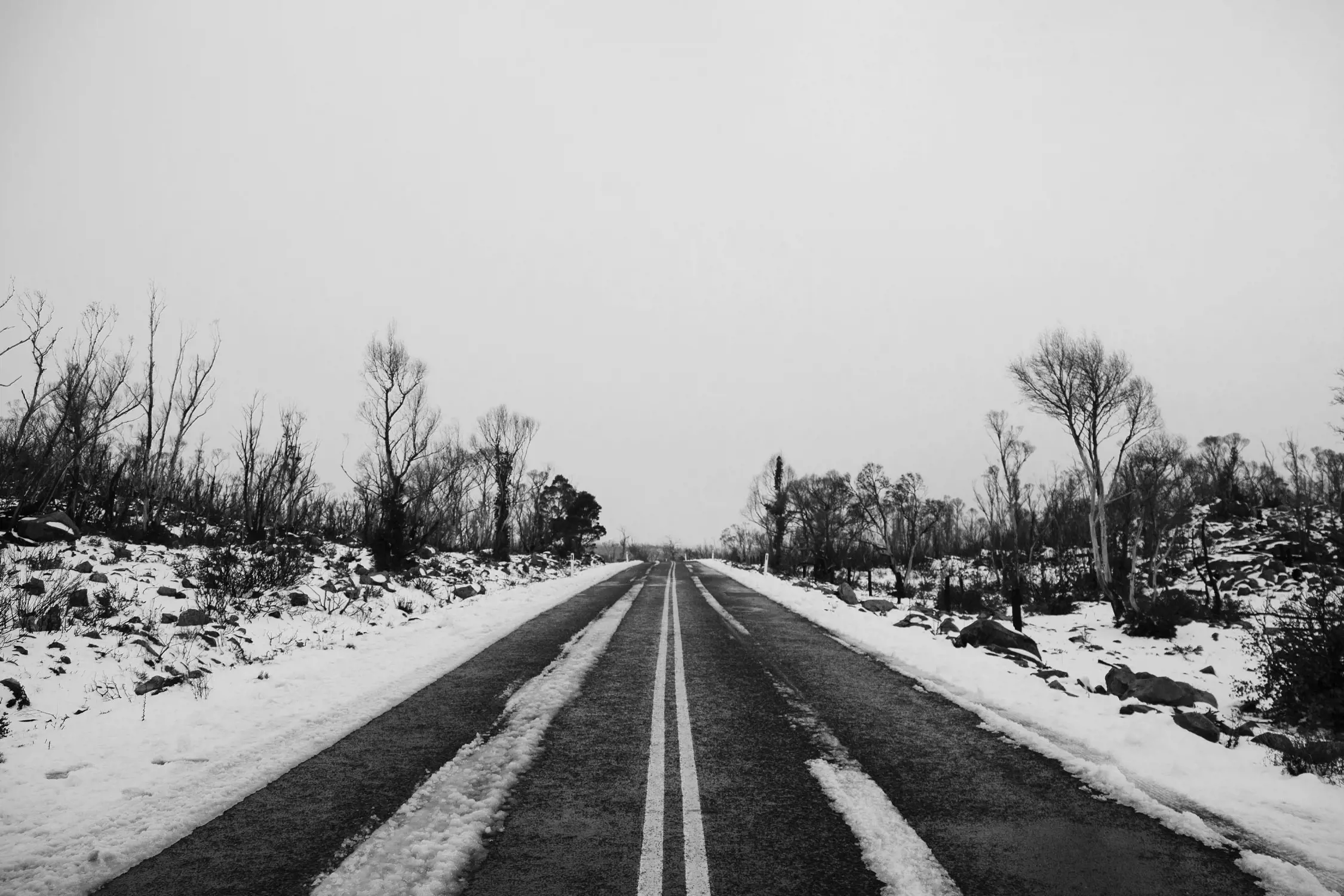 An empty snow-covered road stretches forward in a straight line, flanked by bare trees and a serene, wintry landscape. The white snow contrasts sharply with the dark asphalt and creates a calm, desolate mood.