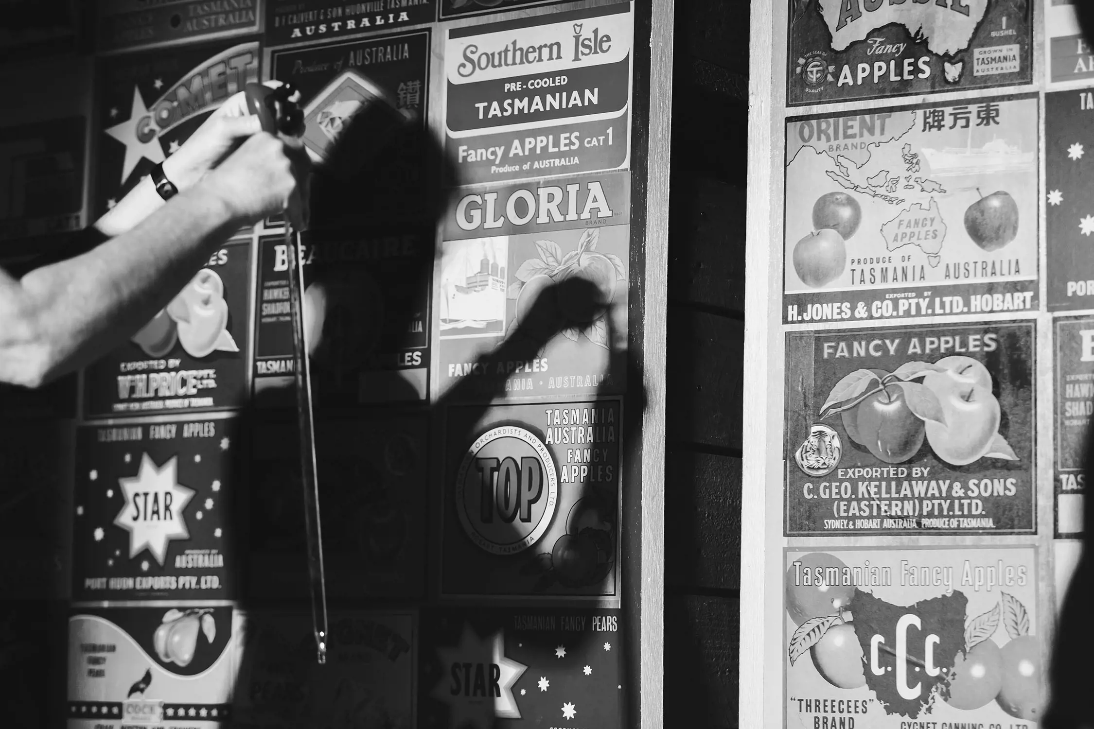 A person holds up a long thin tube, testing some apple cider. On the wall is the person's shadow and a wide range of vintage Tasmanian apple box posters.