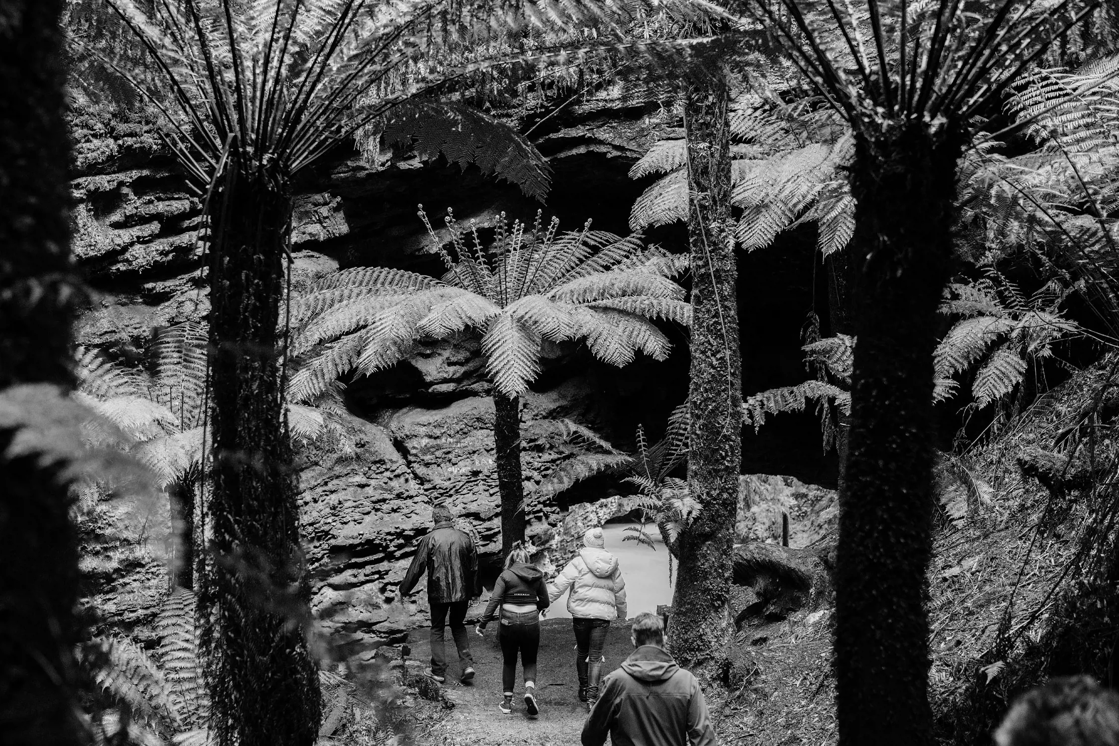 A group of people walking along a narrow dirt trail surrounded by tall tree ferns and lush greenery. The scene is shaded and tranquil, with layers of fern fronds creating a natural canopy overhead. Rugged rock formations are visible in the background, enhancing the sense of a secluded forest adventure.