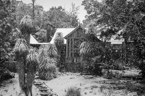 A black and white image of a wooden chalet tucked in between by trees and snow covered native grasses. Soft snow falls from the sky and there is a path of steps leading to the side of the house. 