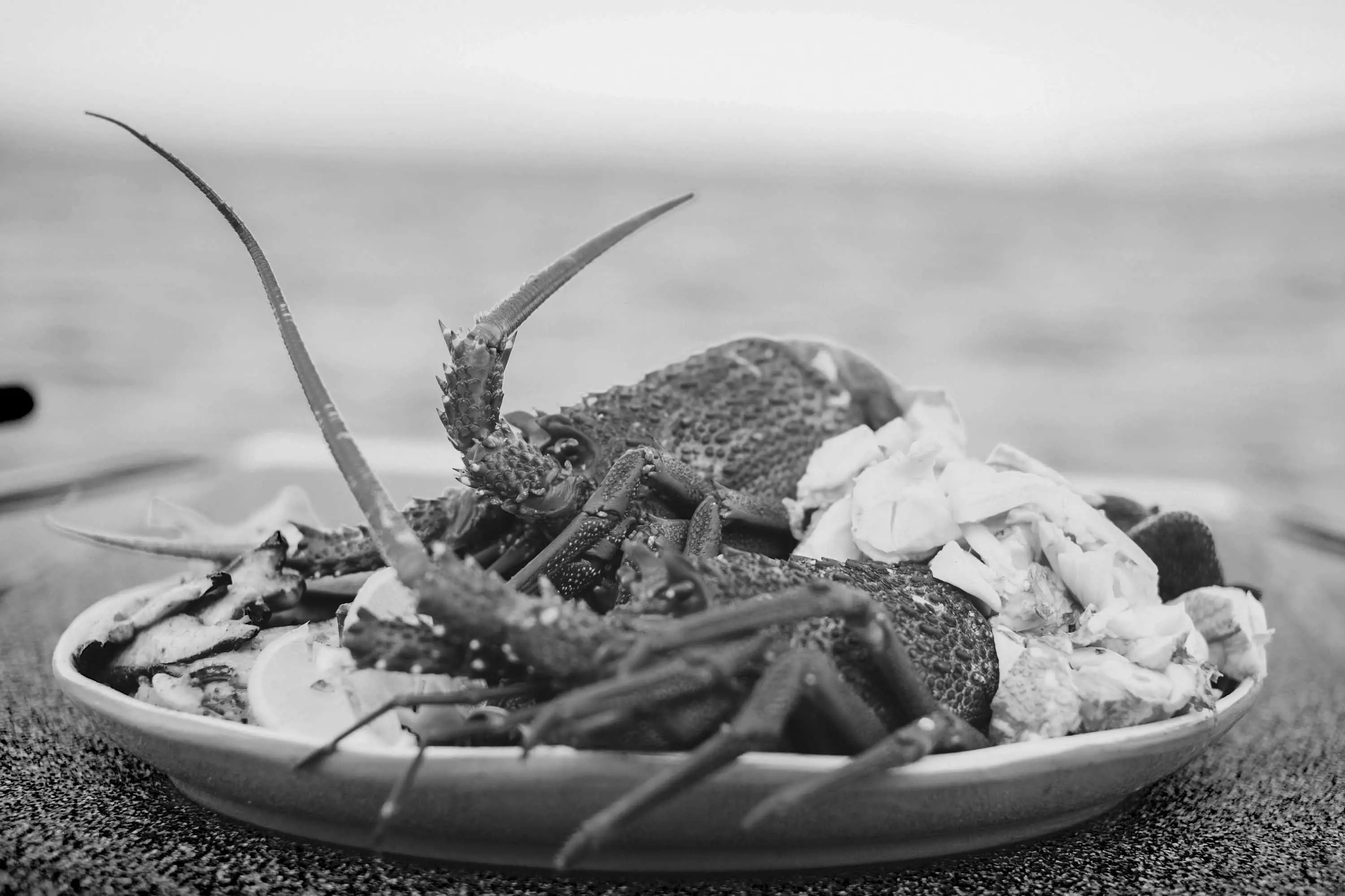 A freshy cooked rock lobster on a plate.