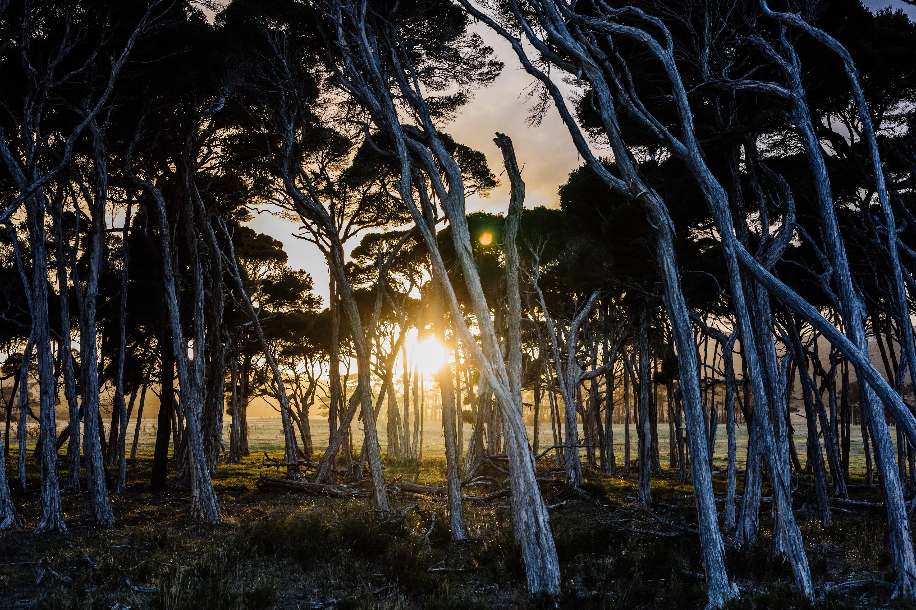 Flinders Island