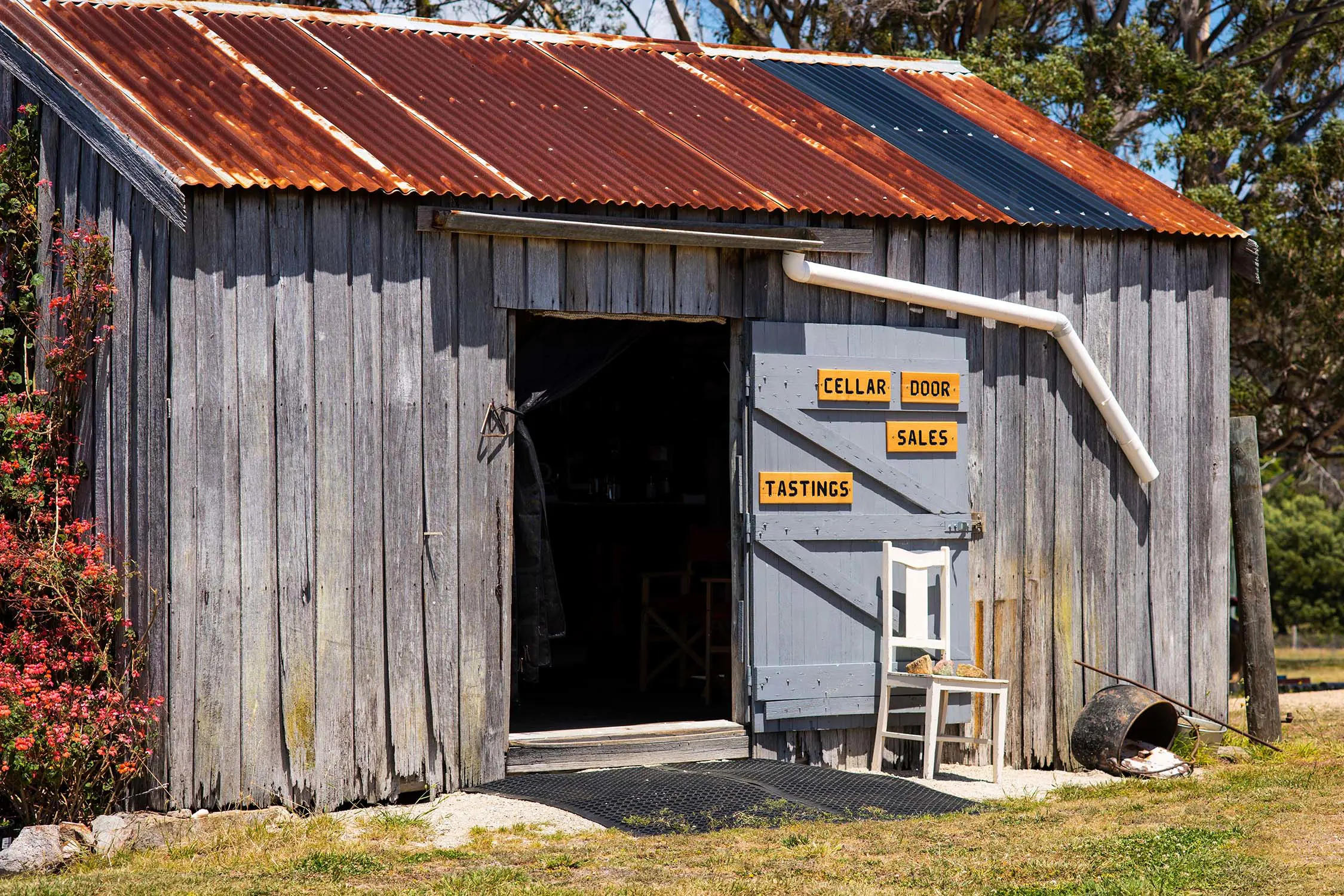 A ramshackle wooden shed with rusted corrugated iron roof has its barn-style door open. The door signs read 'cellar door sales' and 'tastings'.