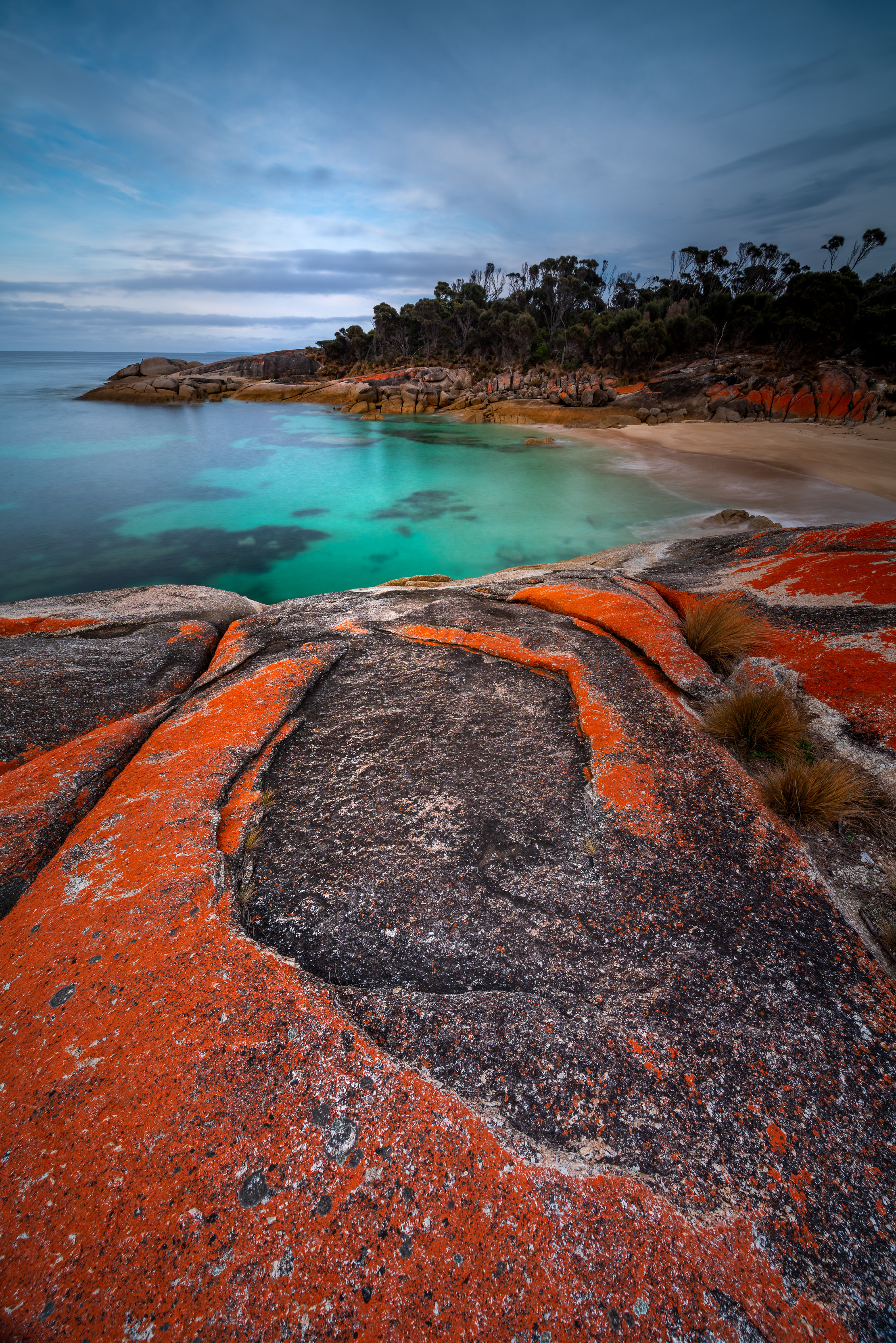 Incredible and vibrant image of Trousers Point, Flinders Island, showcasing it's striking blue ocean and bright orange rocks.