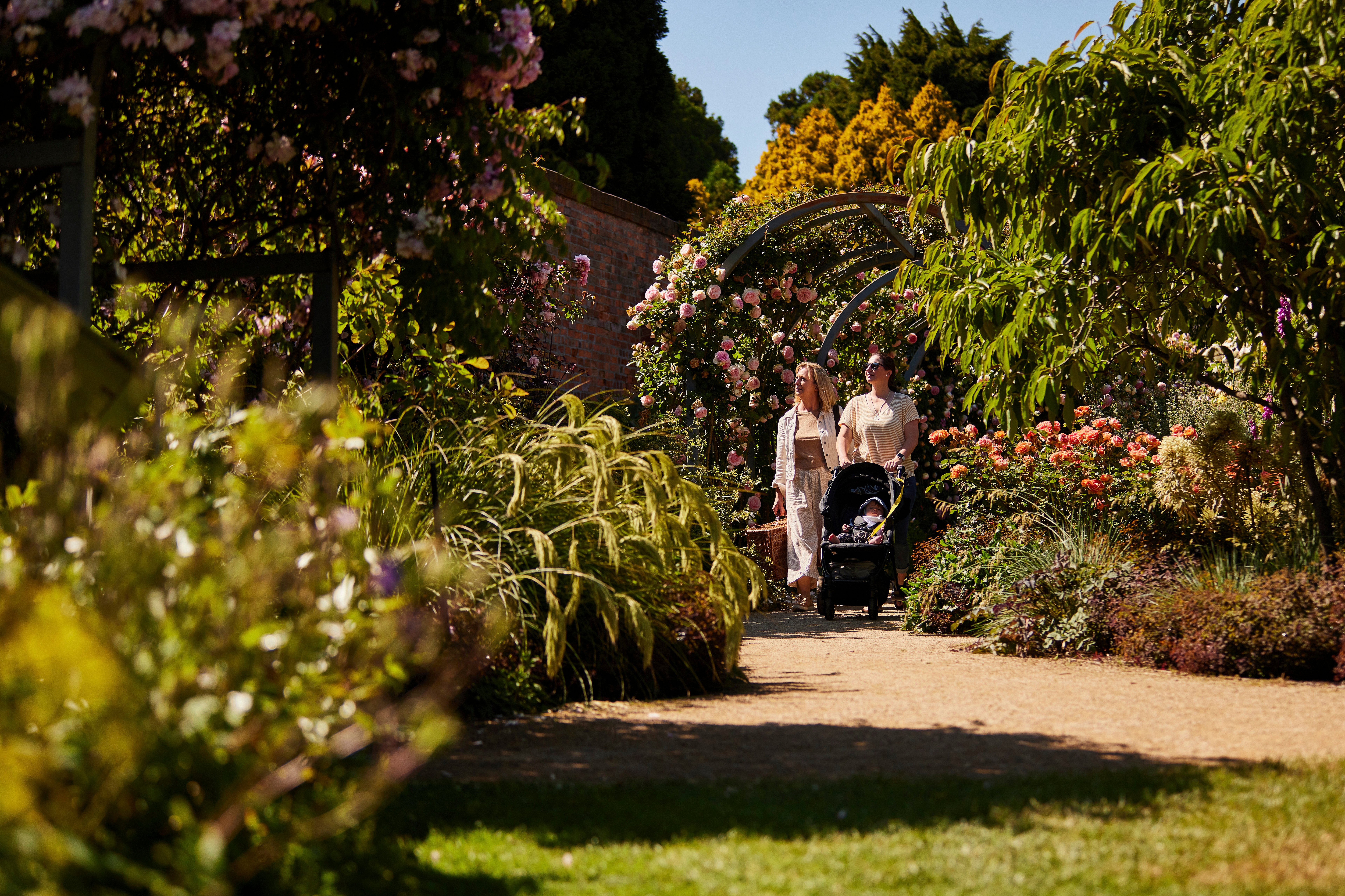 Royal Tasmanian Botanical Gardens