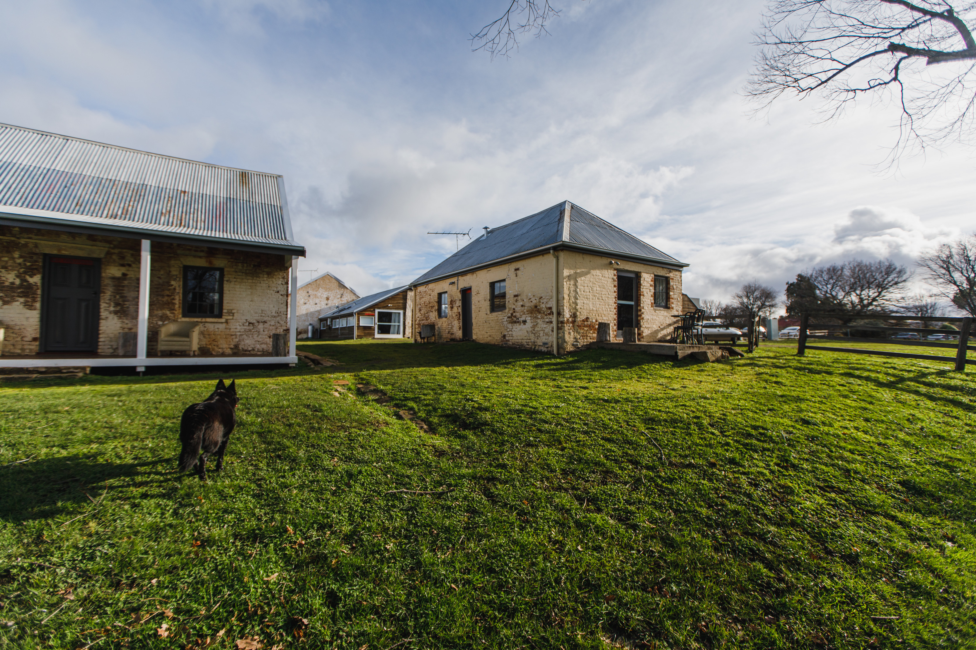 Exterior wide of Ratho Farm, with a dog in the foreground.