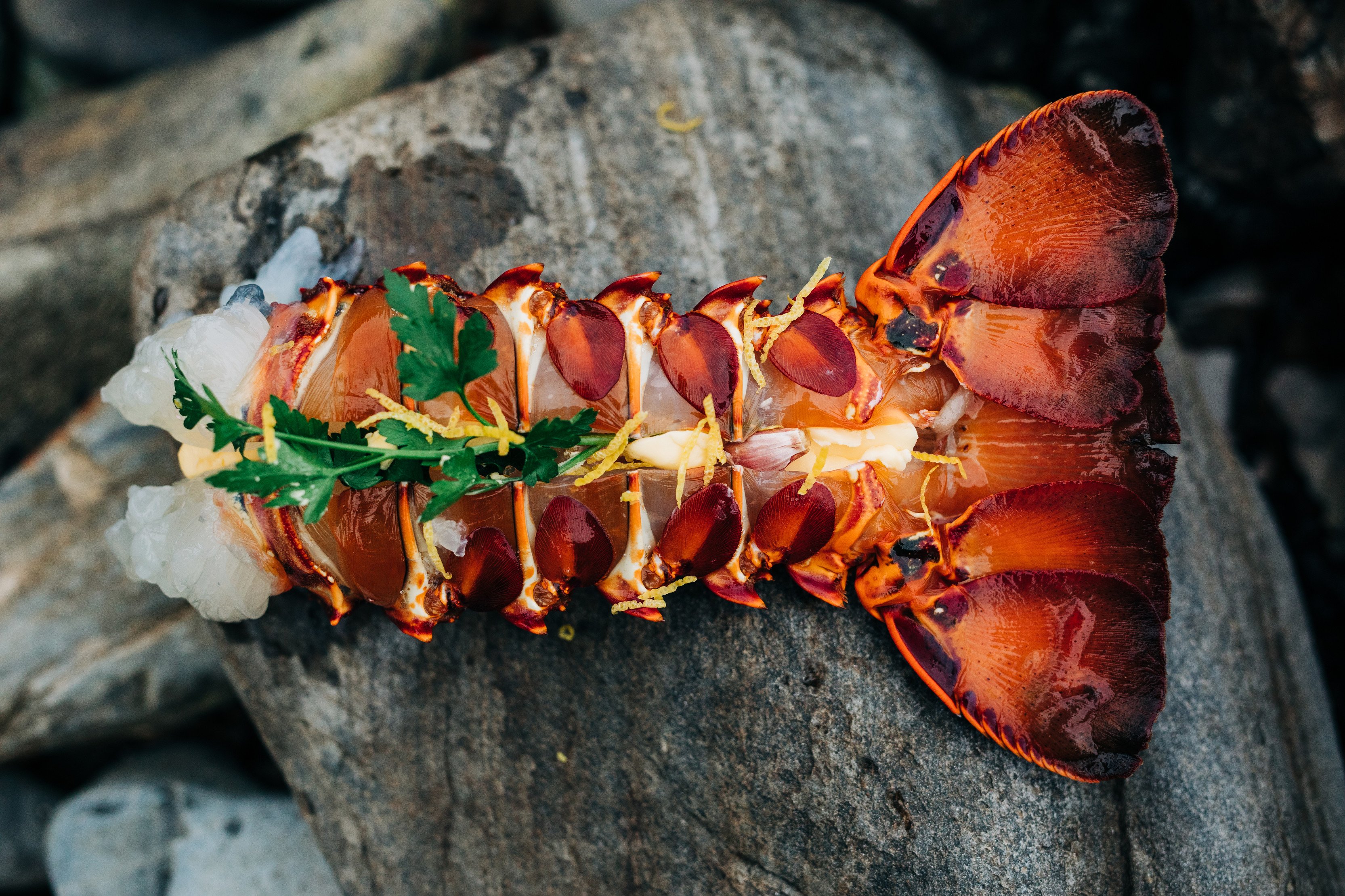 Close up, vibrant image of a cooked crayfish tail.