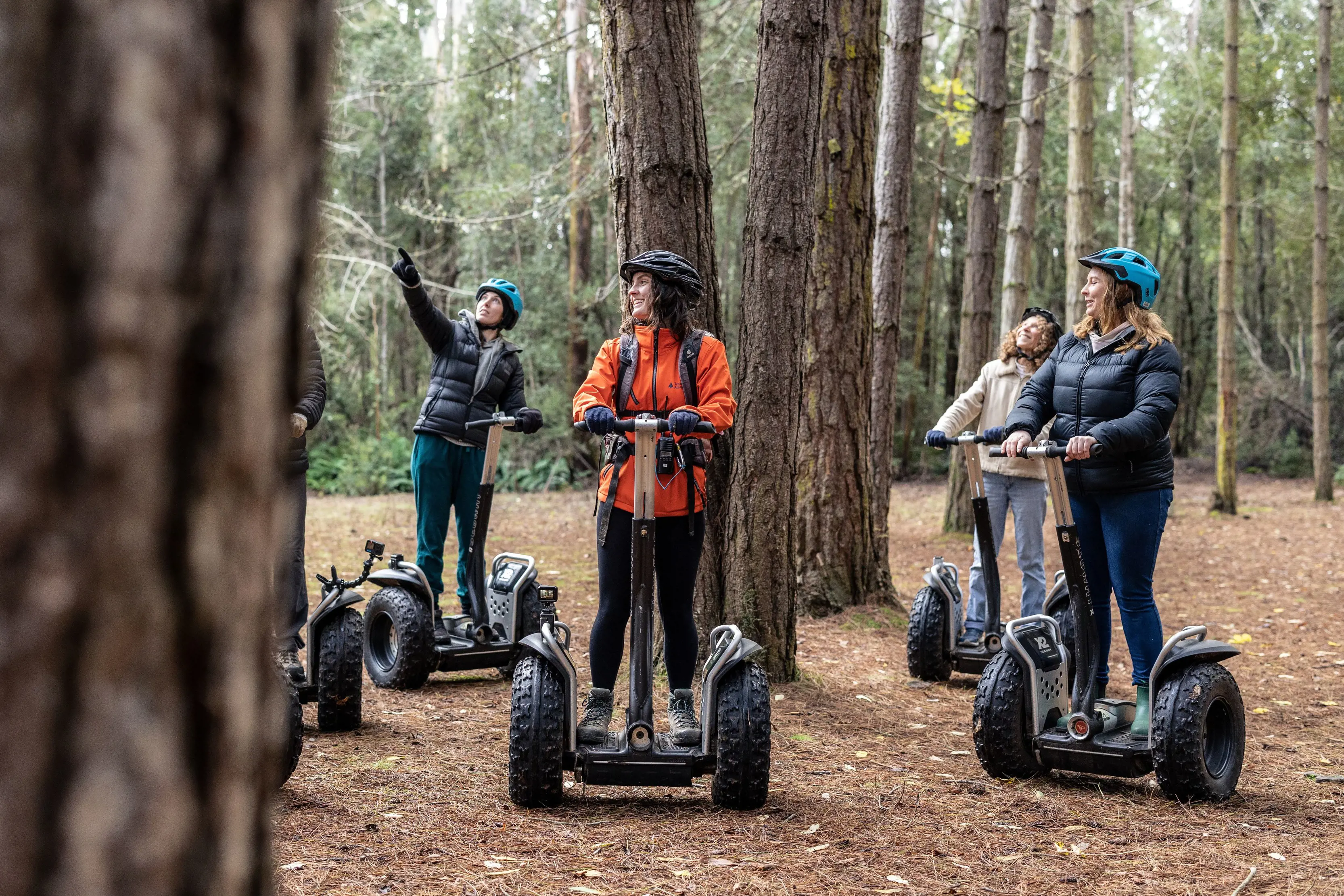 A group of people wearing outdoor gear and helmets stand on segway scooters amongst the trunks of tall trees.