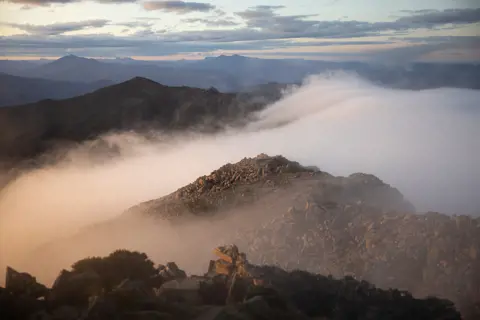 Incredible image of clouds rolling off the mountains during a vibrant sunrise at the Hartz Mountains National Park.