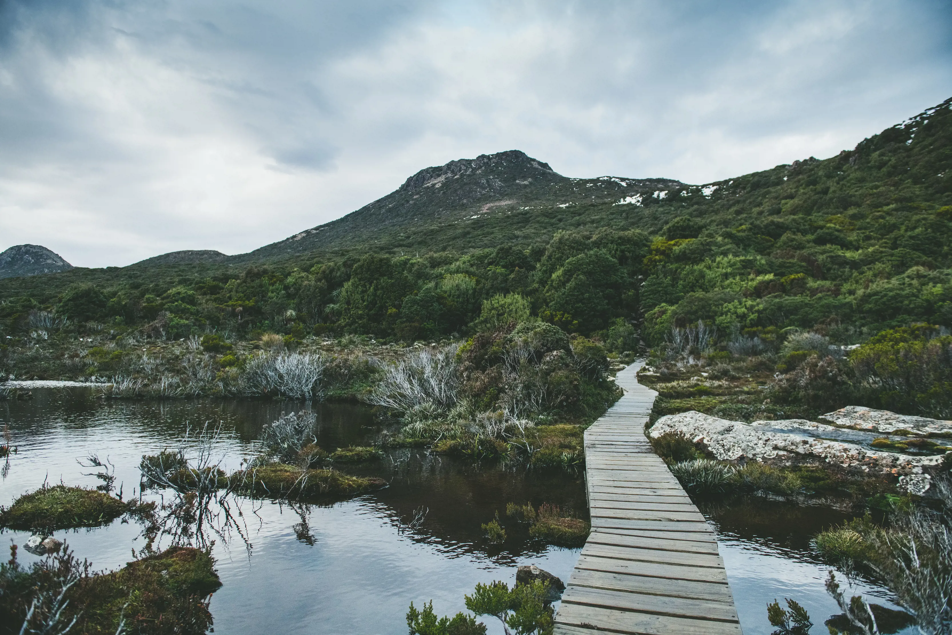 Wooden footpath over clear water, surrounded by dense bushland.