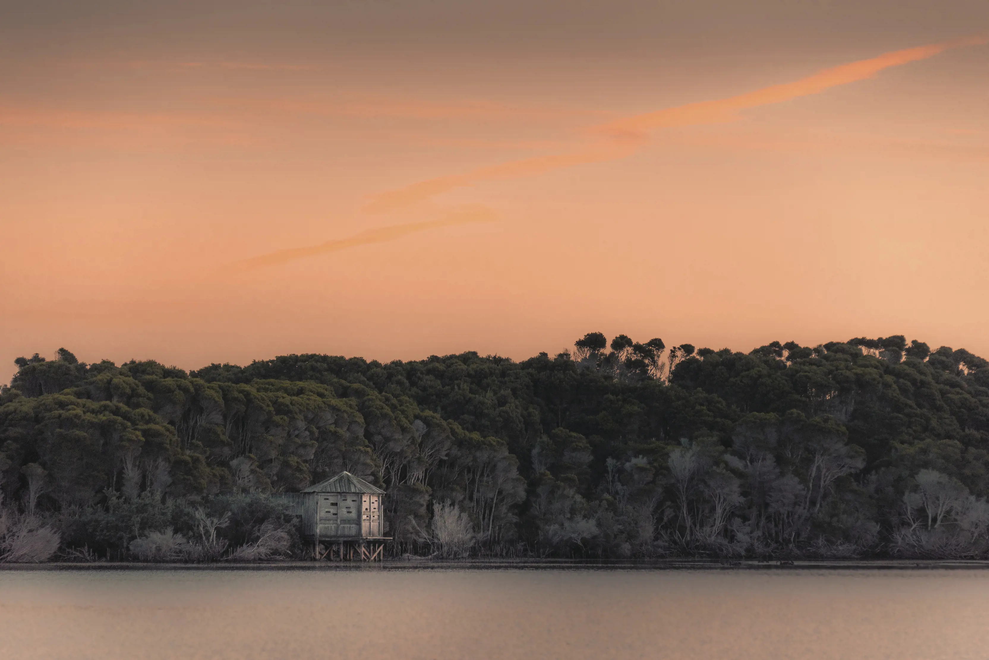 Peaceful, colourful scene of the Bird Hide. Image taken from across other side of the lagoon.