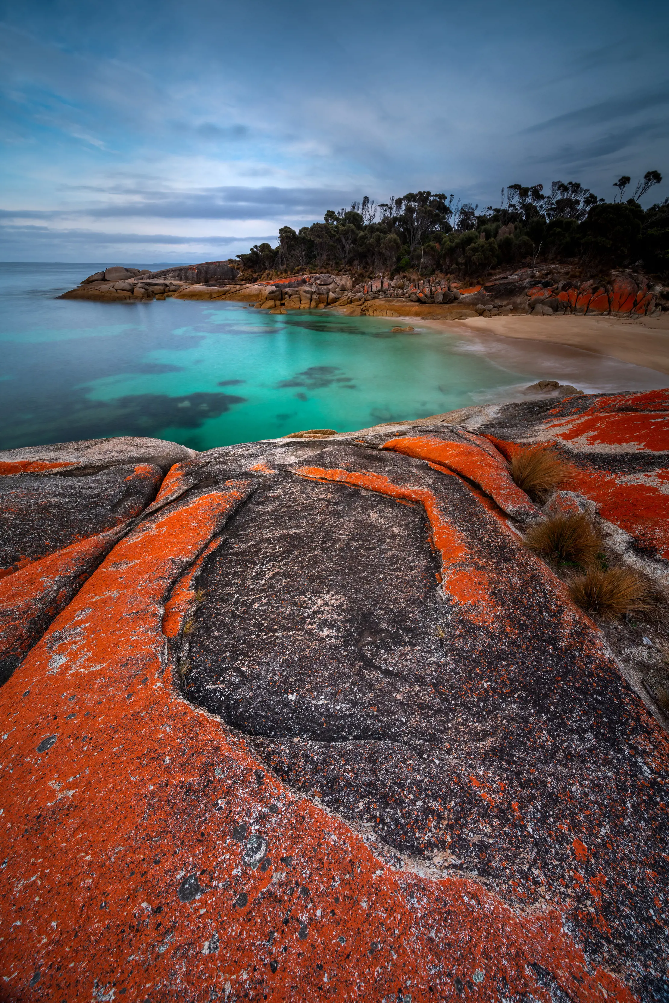 Incredible and vibrant image of Trousers Point, Flinders Island, showcasing it's striking blue ocean and bright orange rocks.