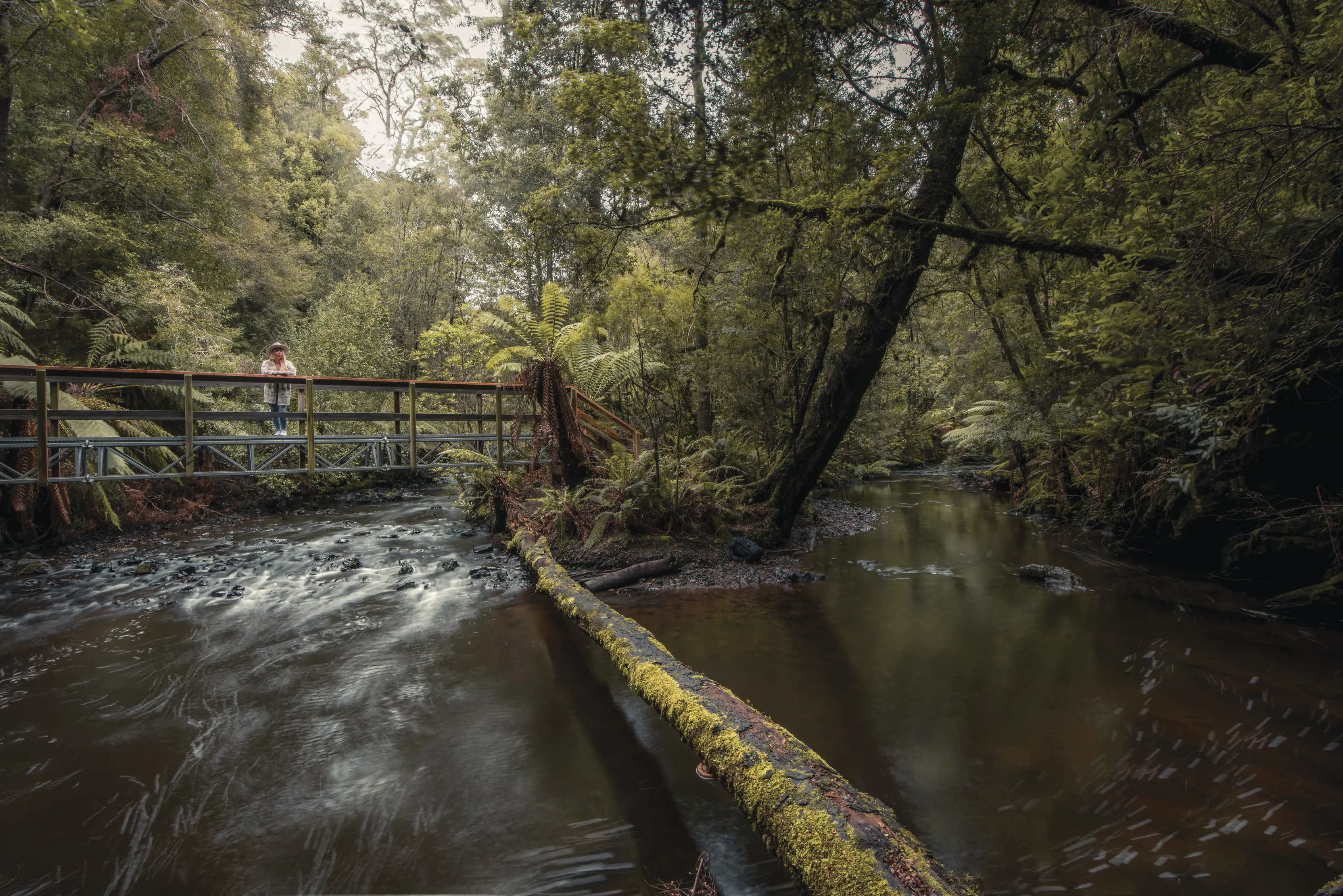 Stunning image of a person in the middle of a small bridge over Julius River, viewing river and the surrounding lush wilderness.