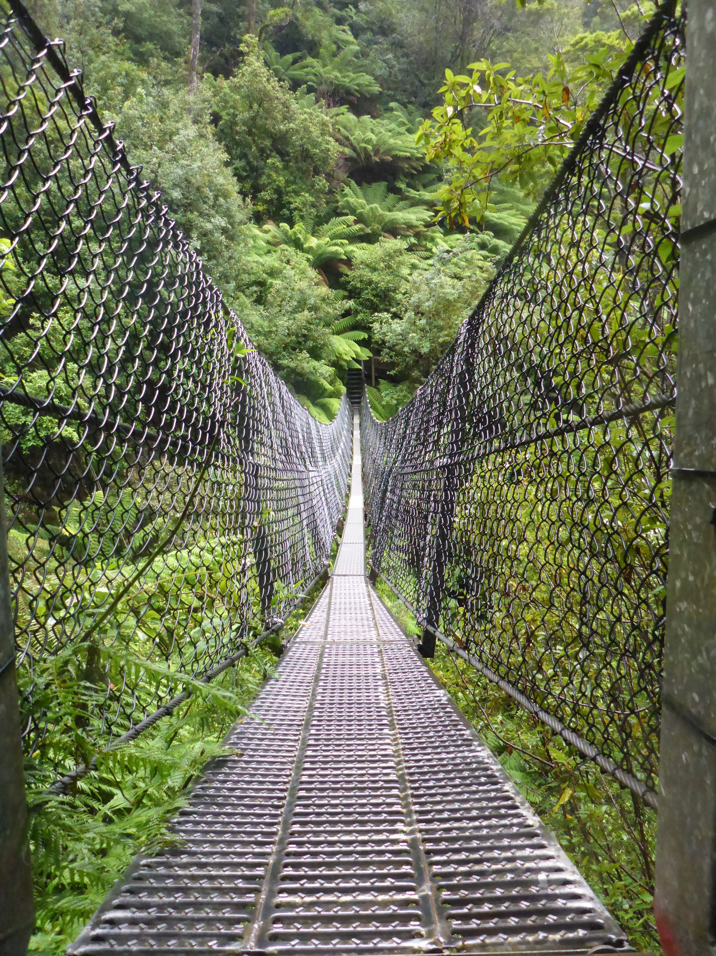 Montezuma Falls Swing Bridge.