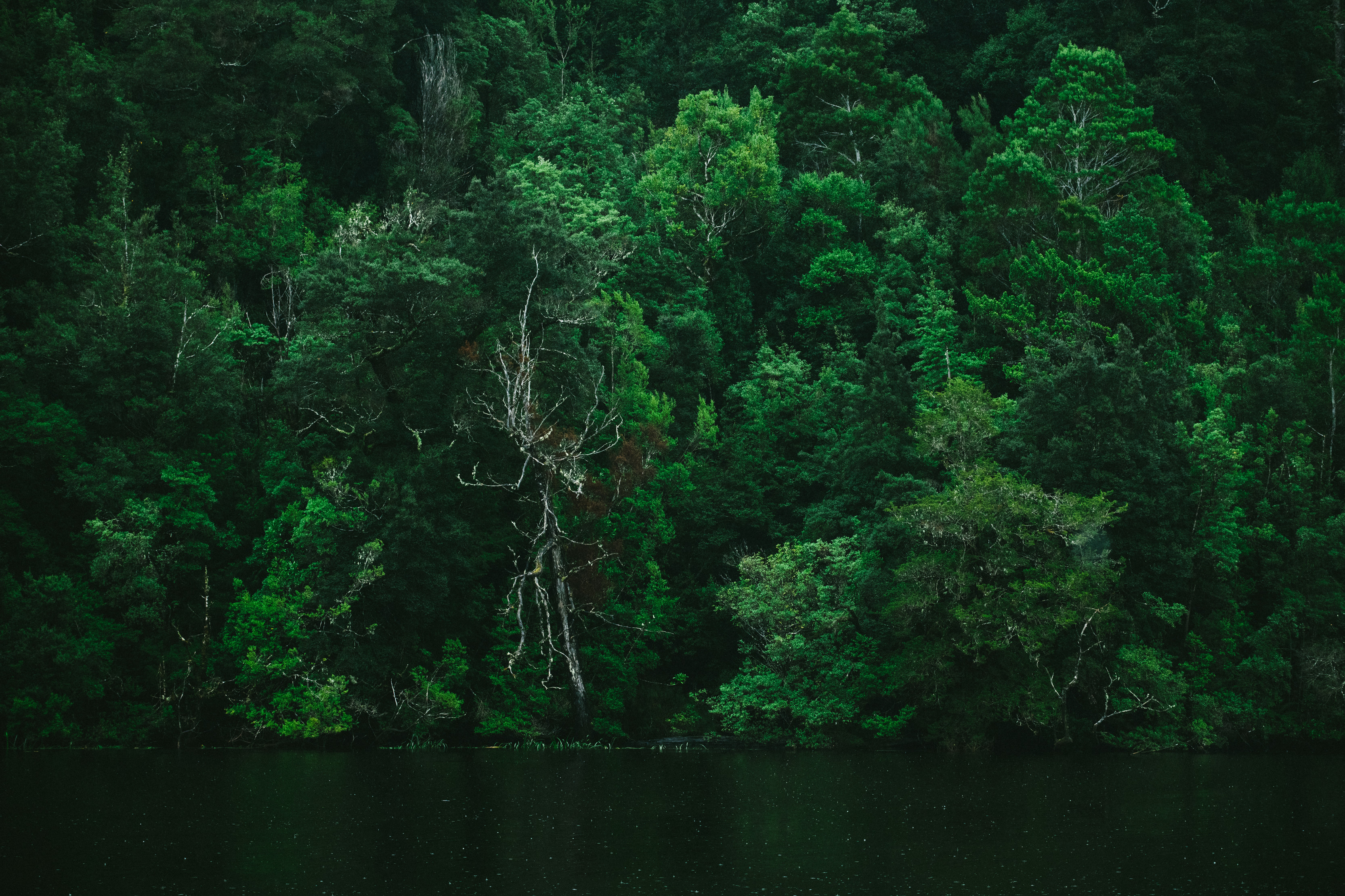 Corinna | Discover Tasmania