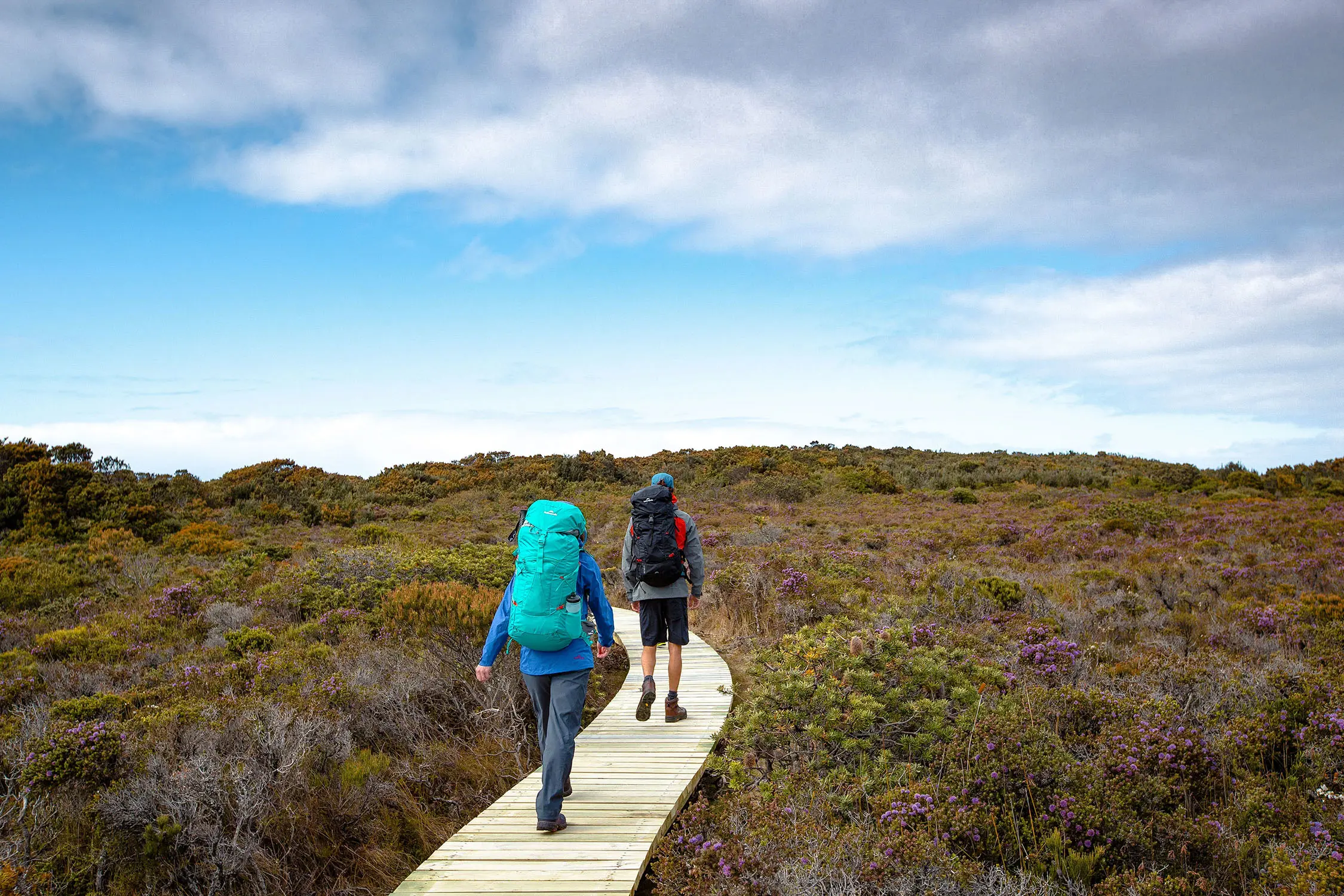 A couple in hiking gear walk along the wooden pathway at Three Capes Track.