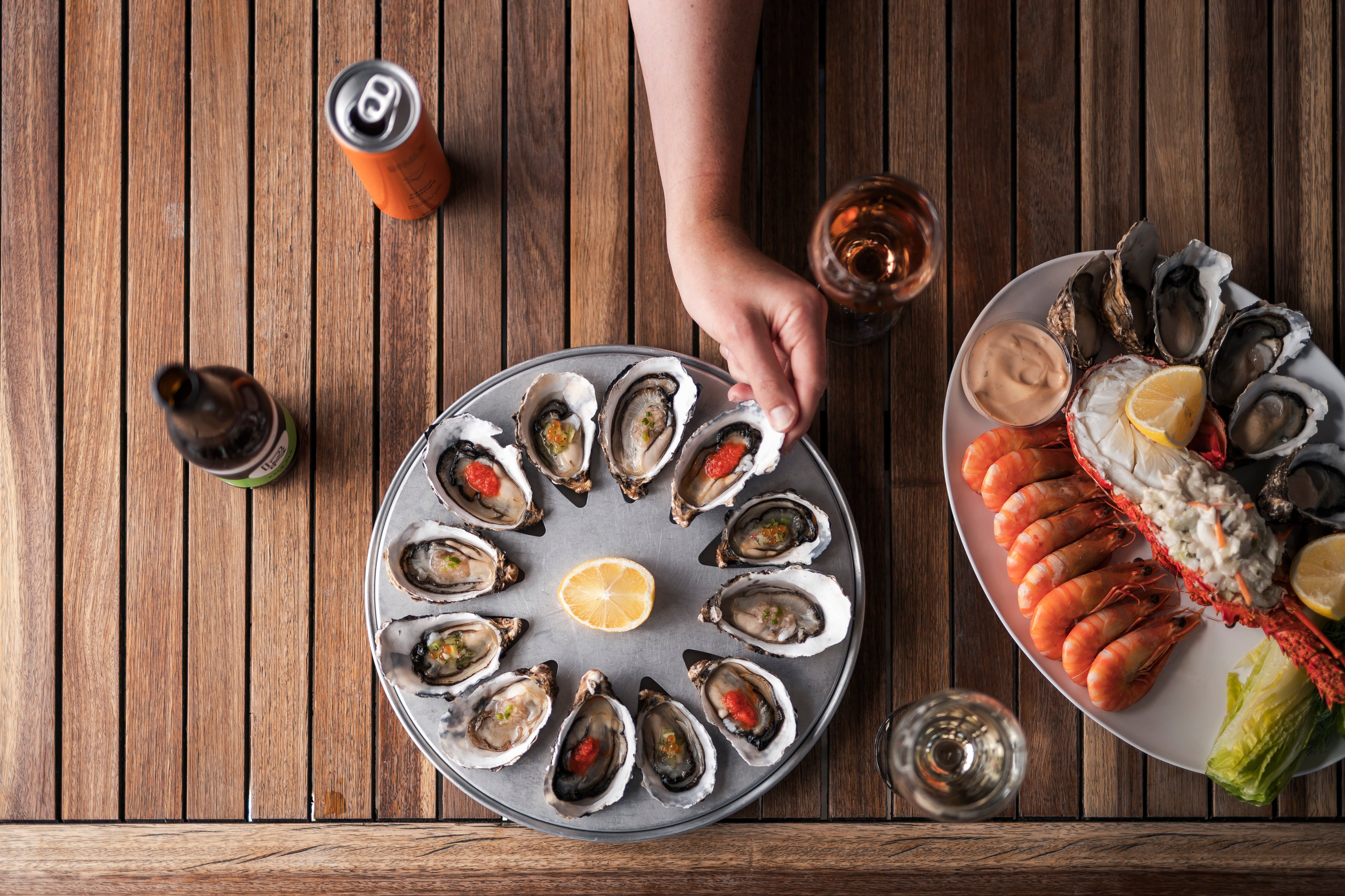 A platter of fresh oysters and other seafood presented on a platter.