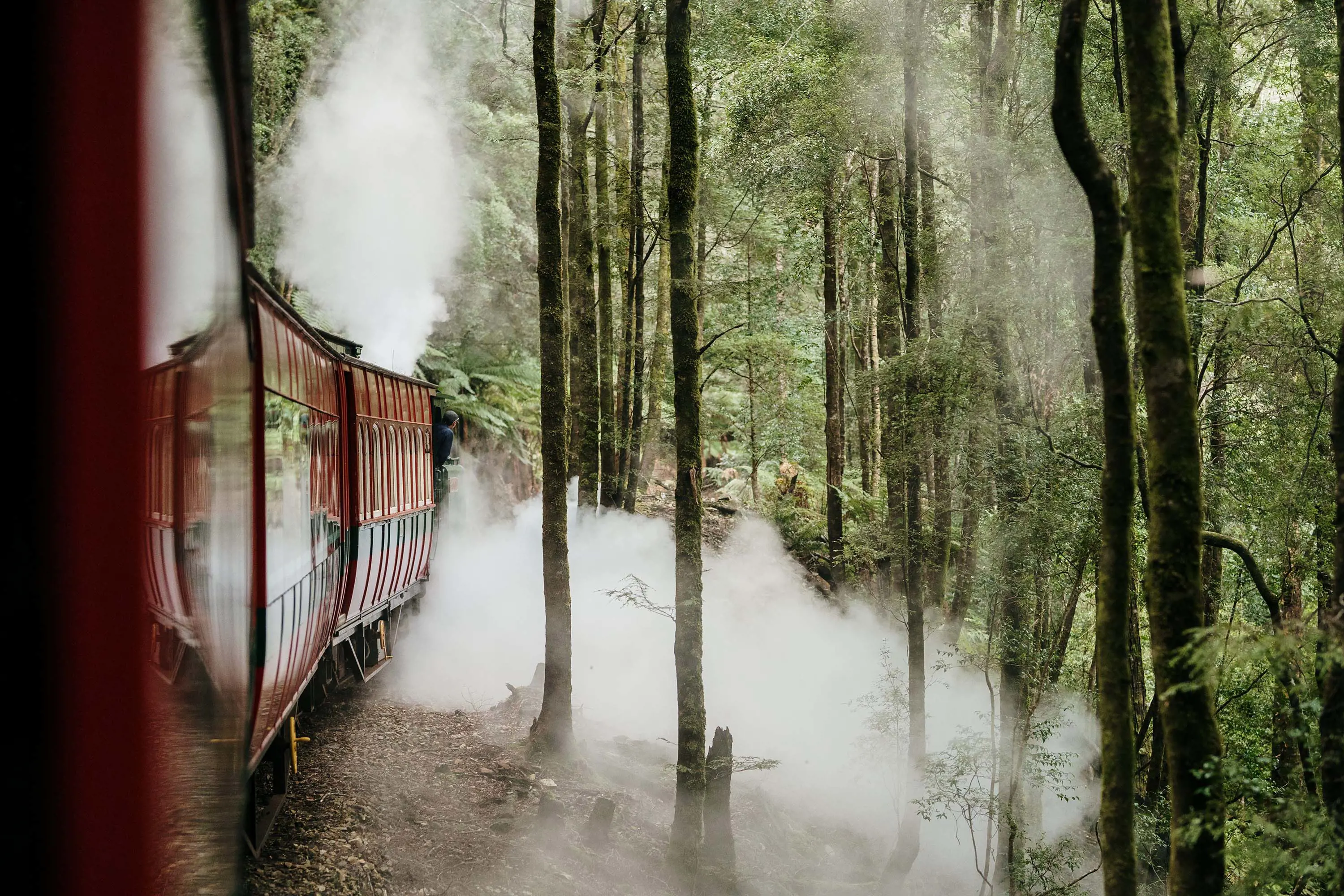 An atmospheric image looking down the side of a red and black heritage steam train, chugging through a forest. The driver is leaning out of the cab at the front and steam rolls down the forest floor.