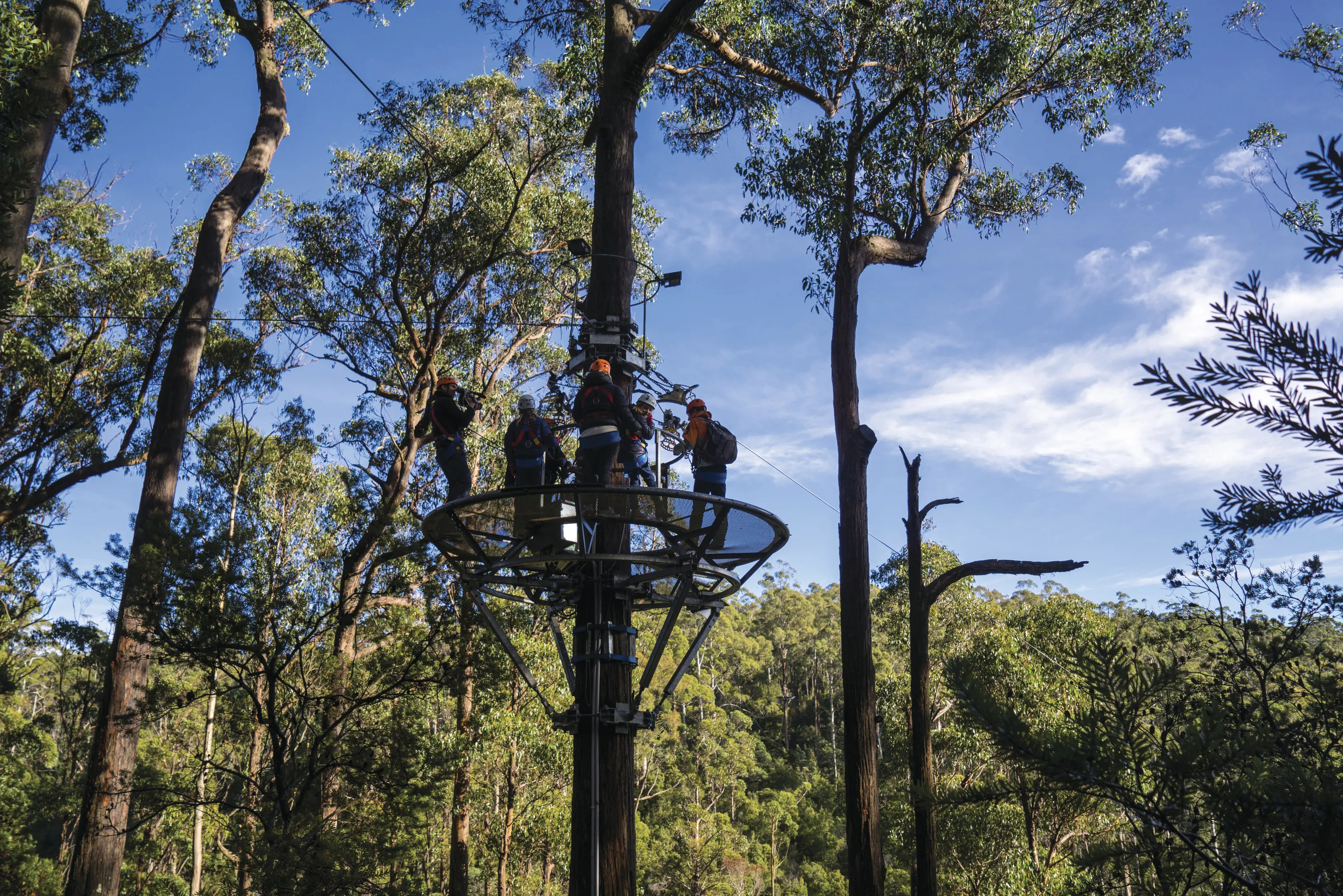 Zip lining at Hollybank Wilderness Adventures